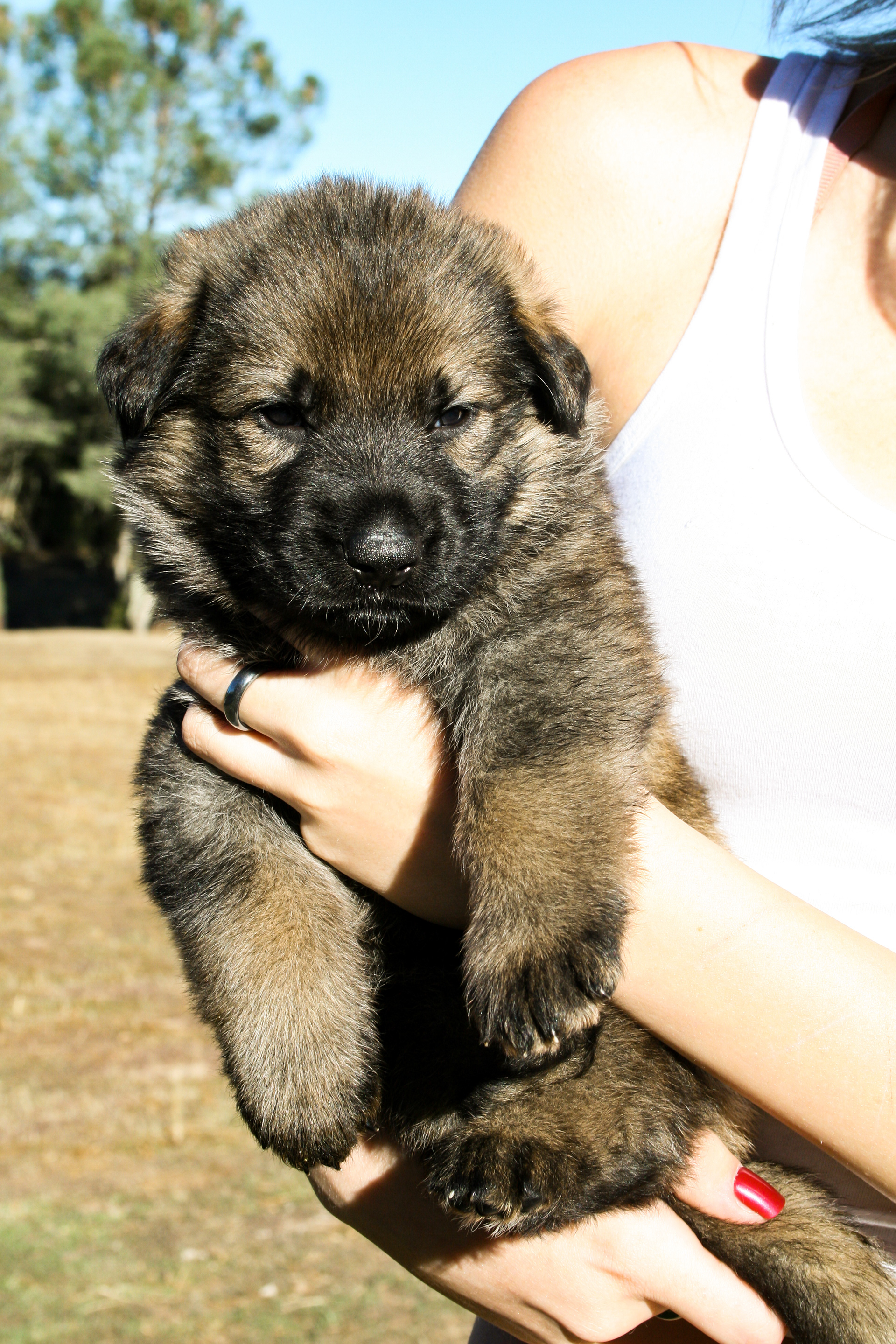 "Biggie Smalls" - 4 weeks