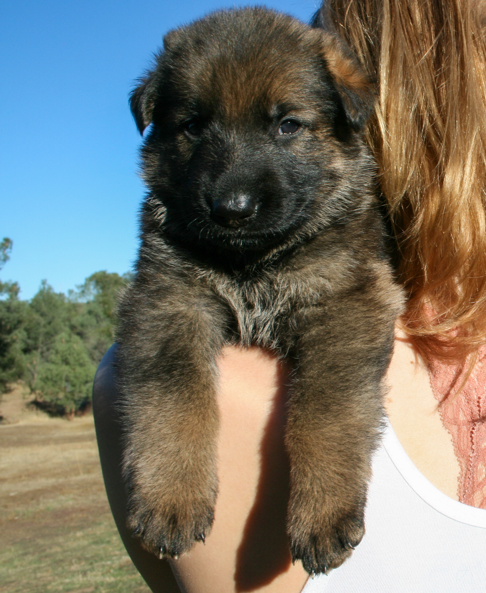"Jack" - 4 weeks