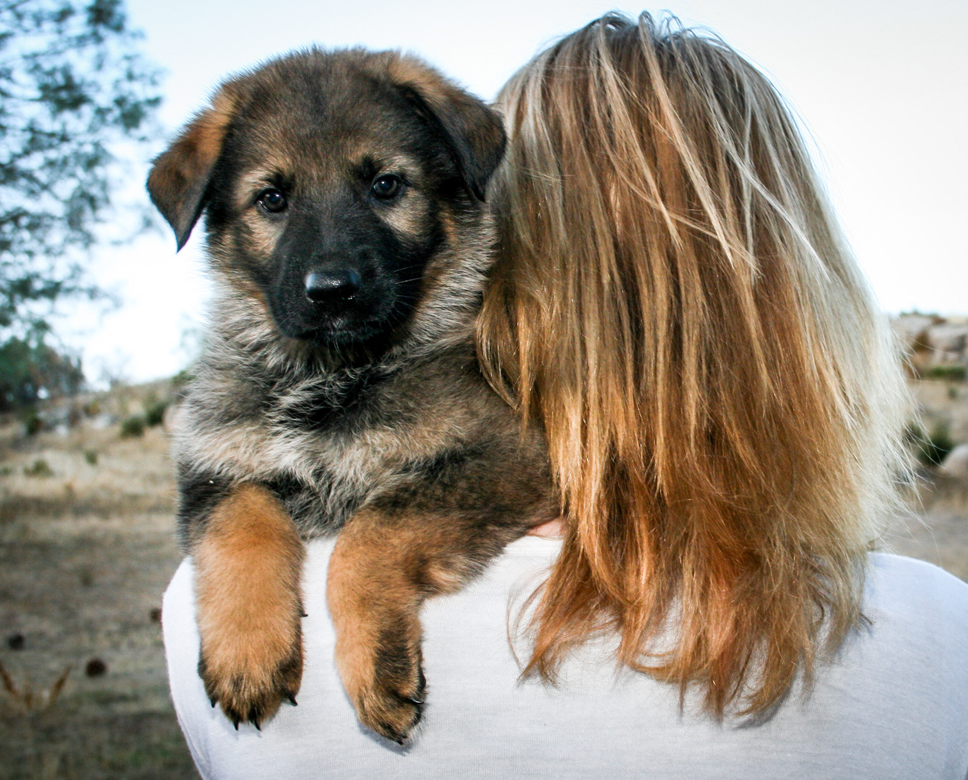 Journey - 7 weeks