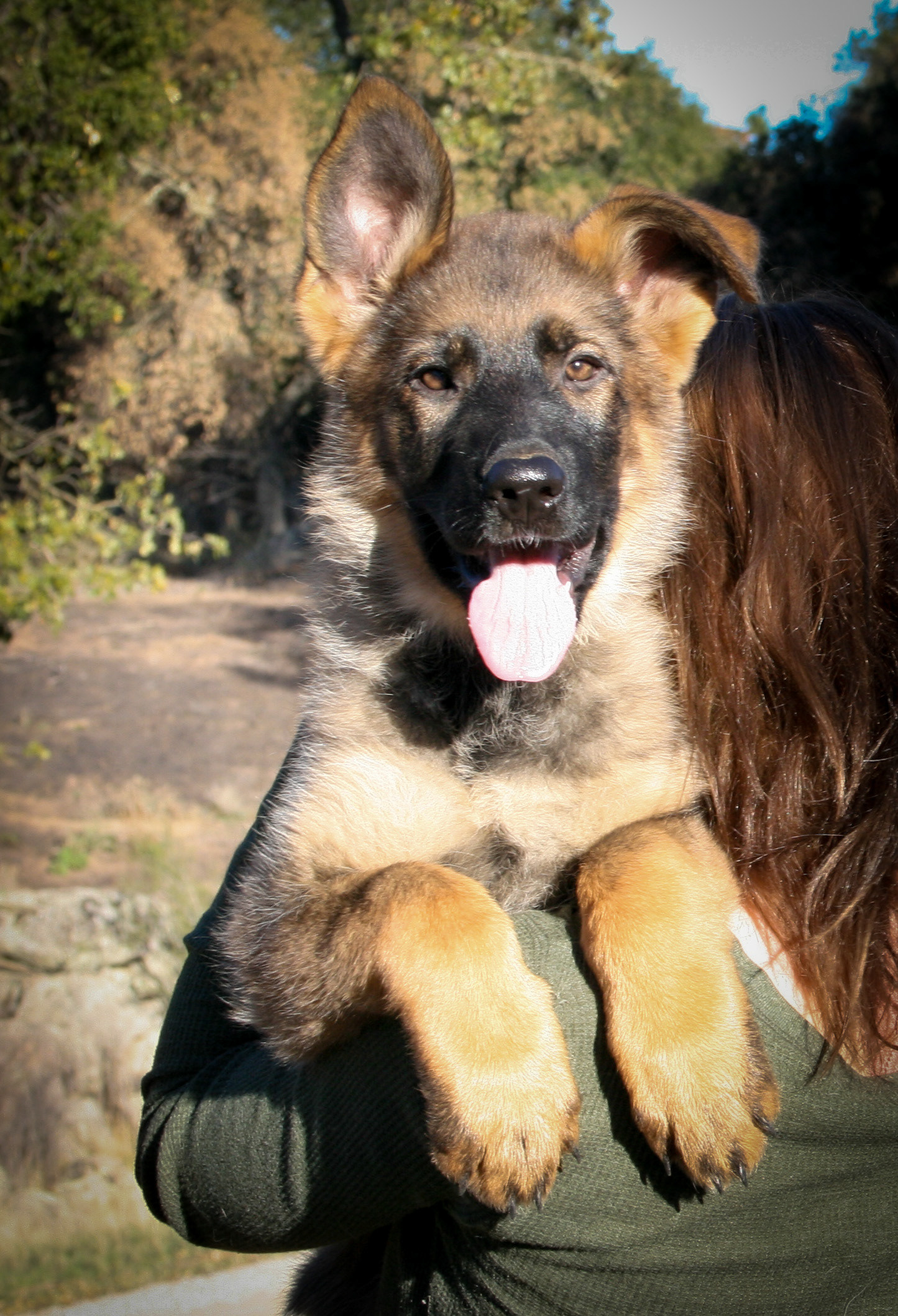 "Journey" - 12 weeks