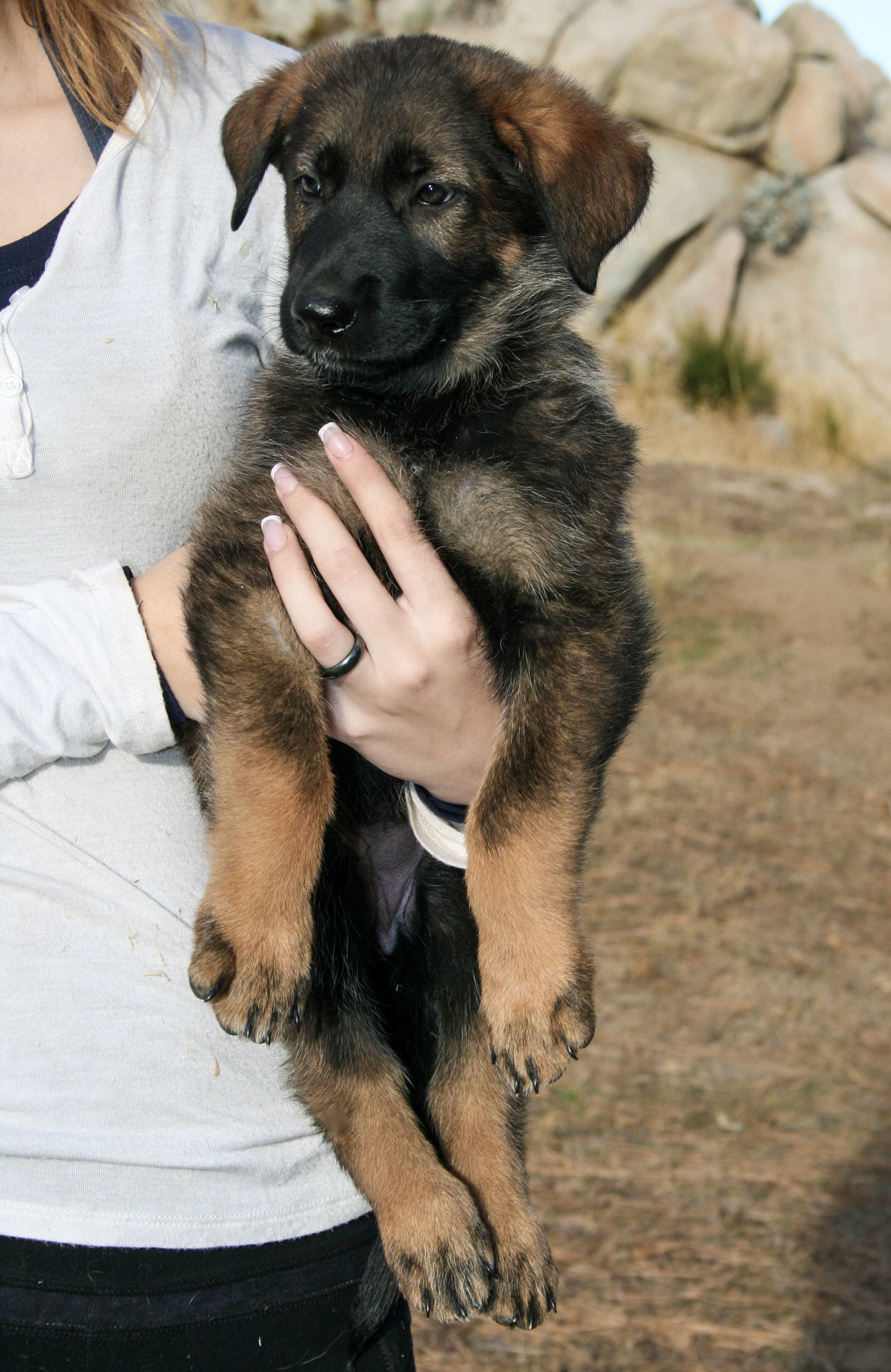 Winnie - 7 weeks