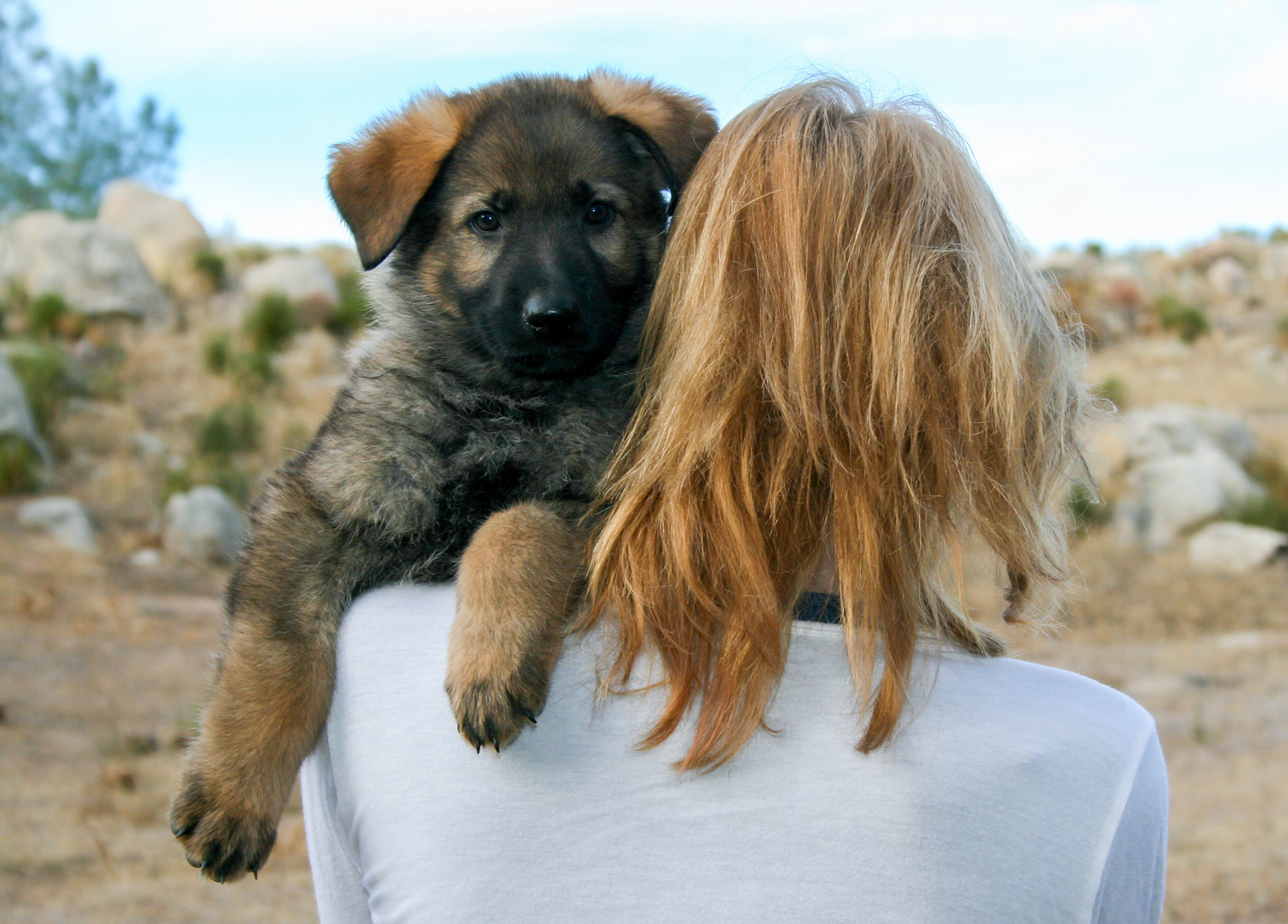 Biggie Smalls - 7 weeks