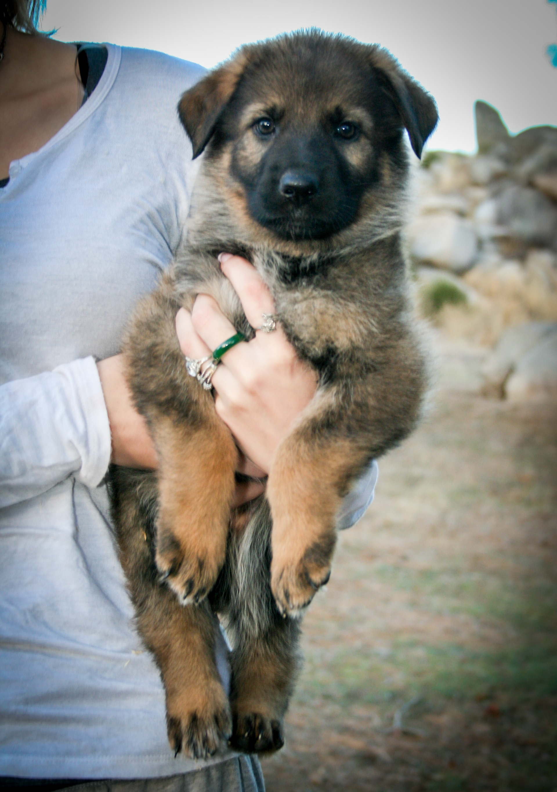 Journey - 7 weeks