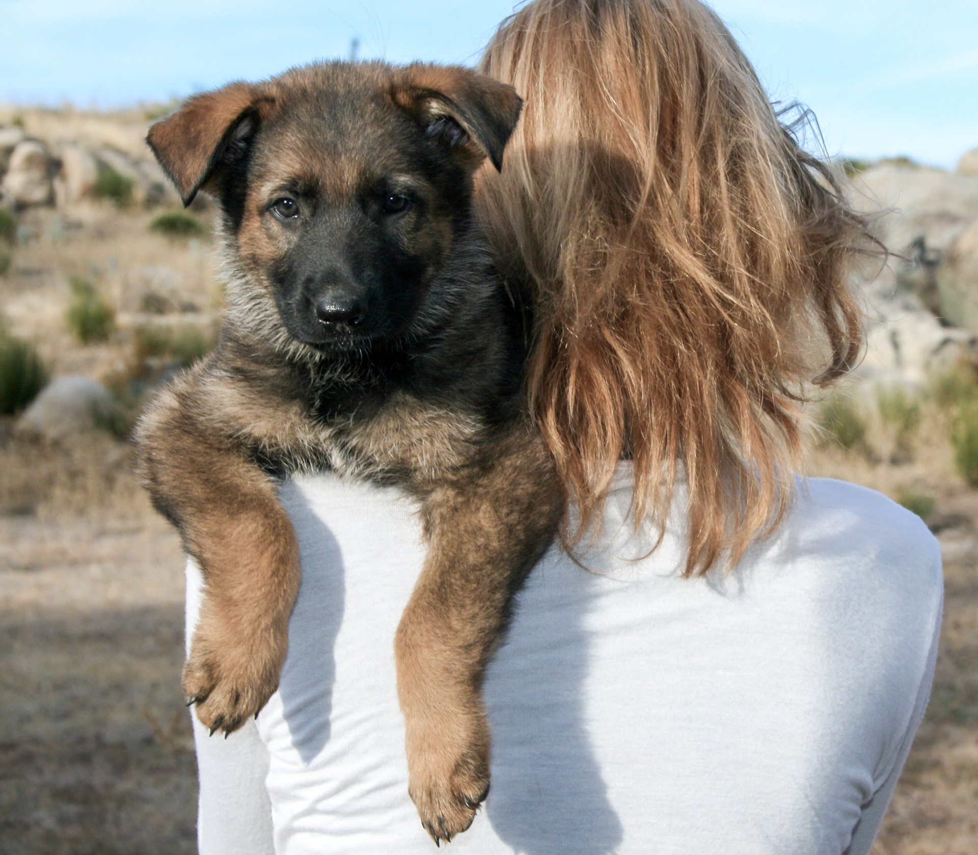 Jack - 7 weeks