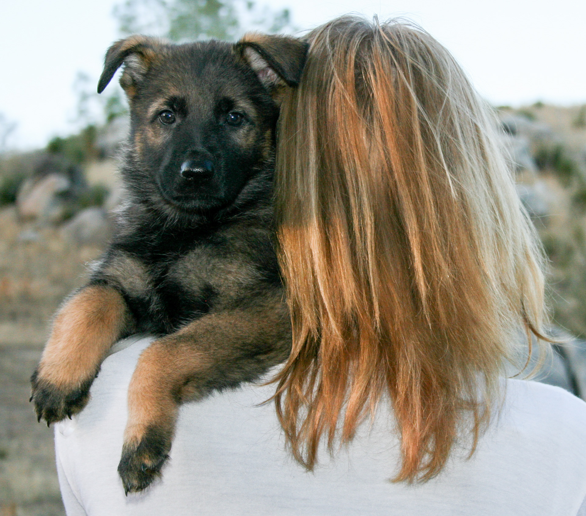 Tilly - 7 weeks