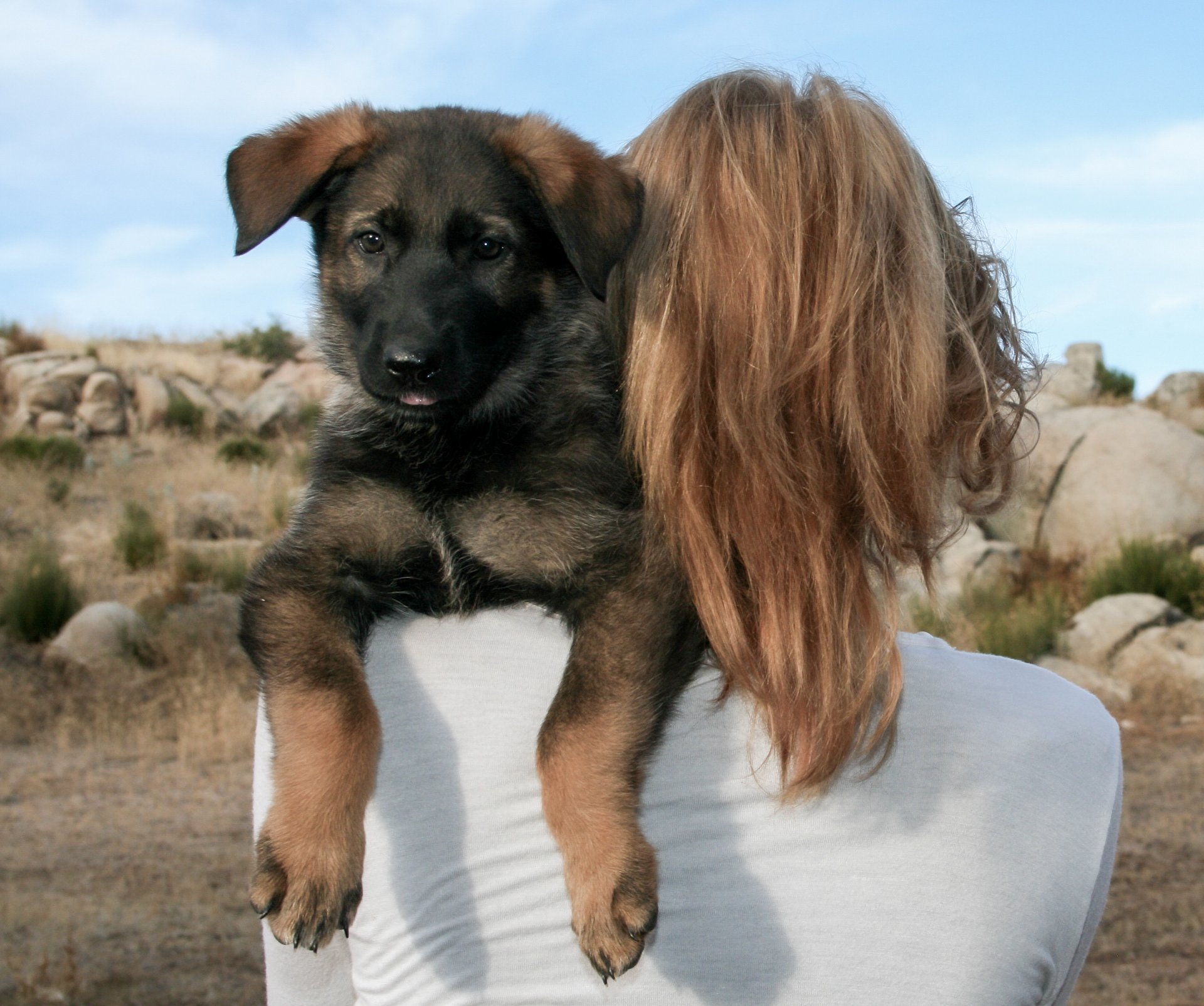 Winnie - 7 weeks