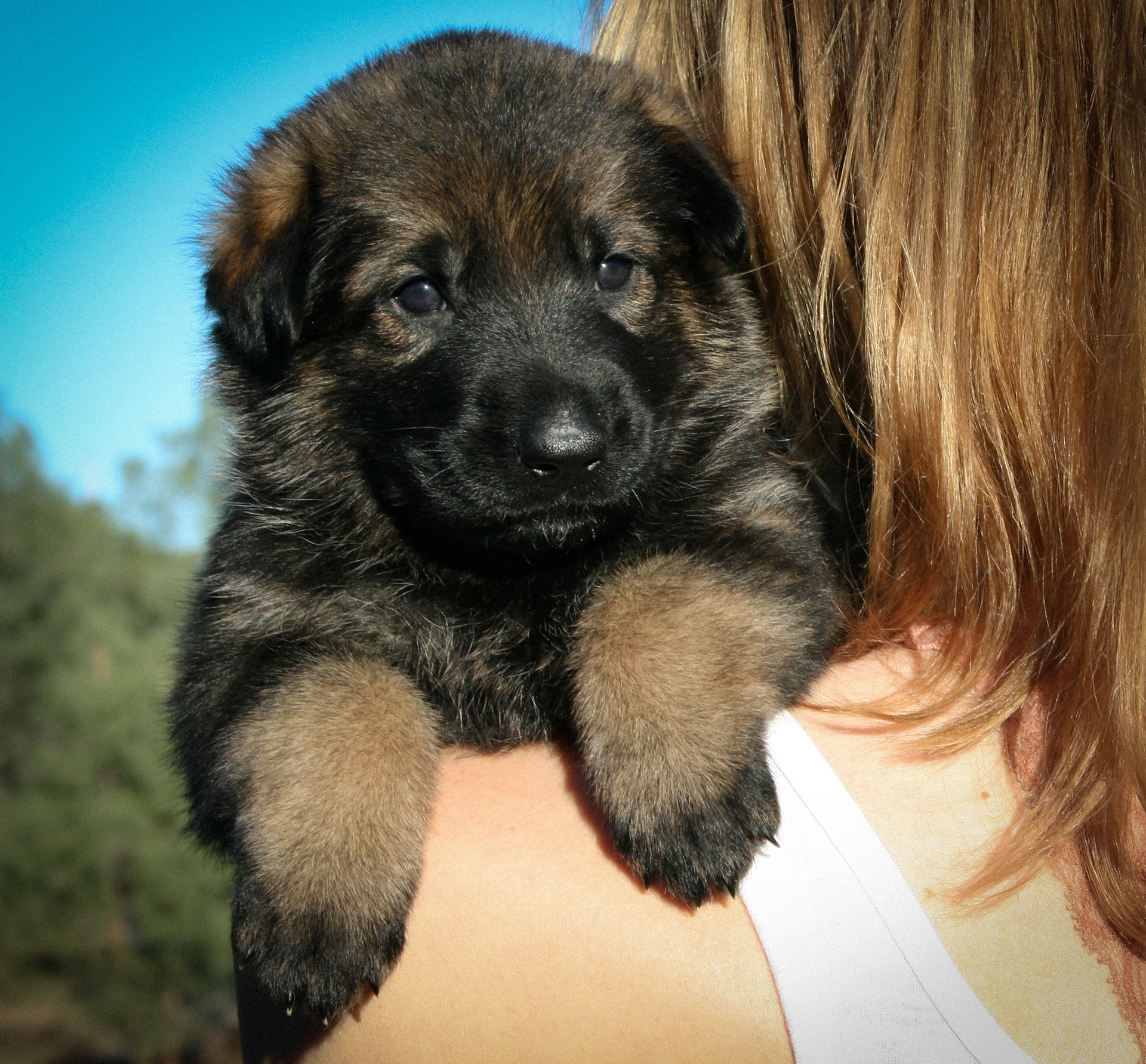"Tilly" - 4 weeks