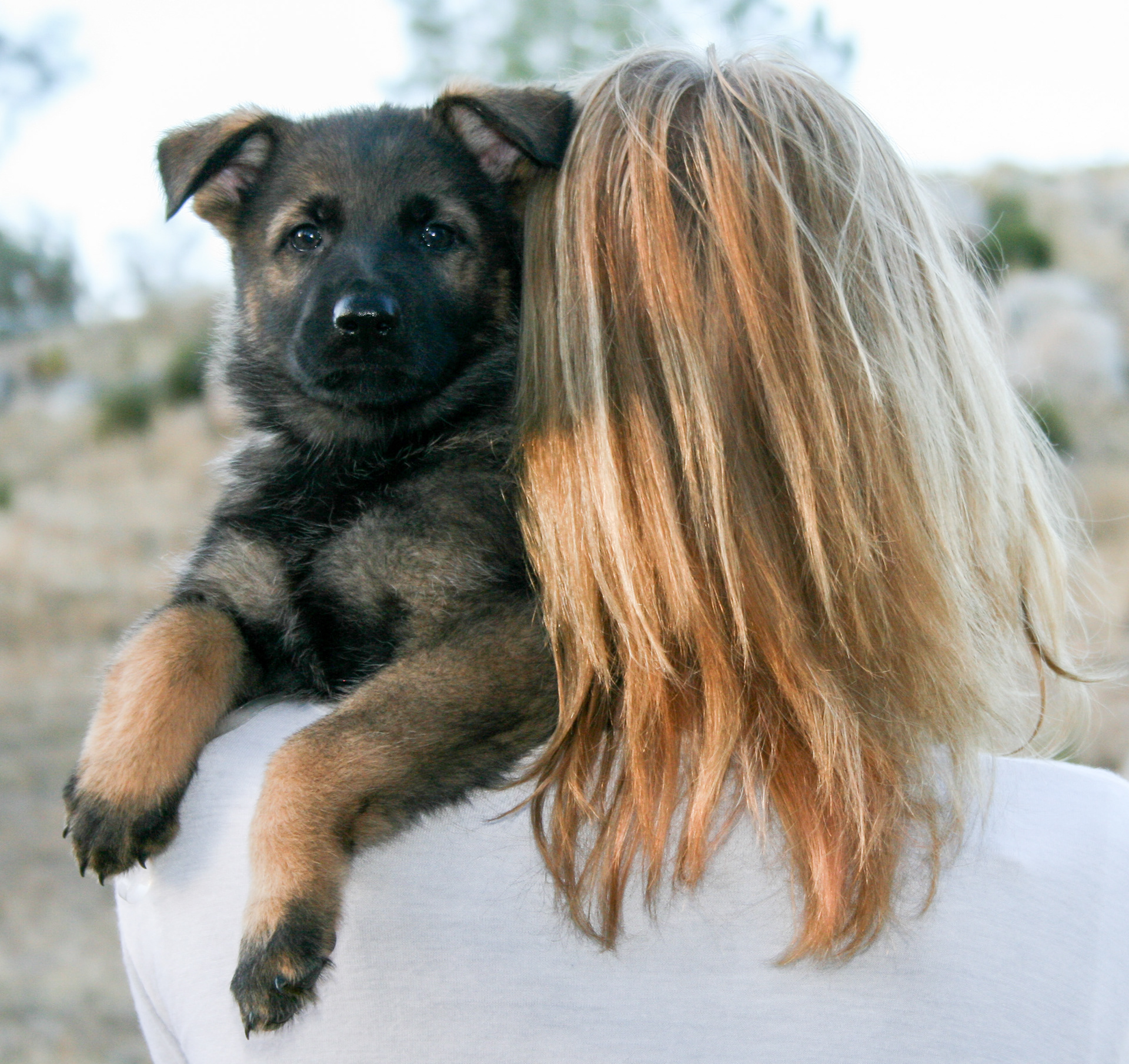 Tilly - 7 weeks