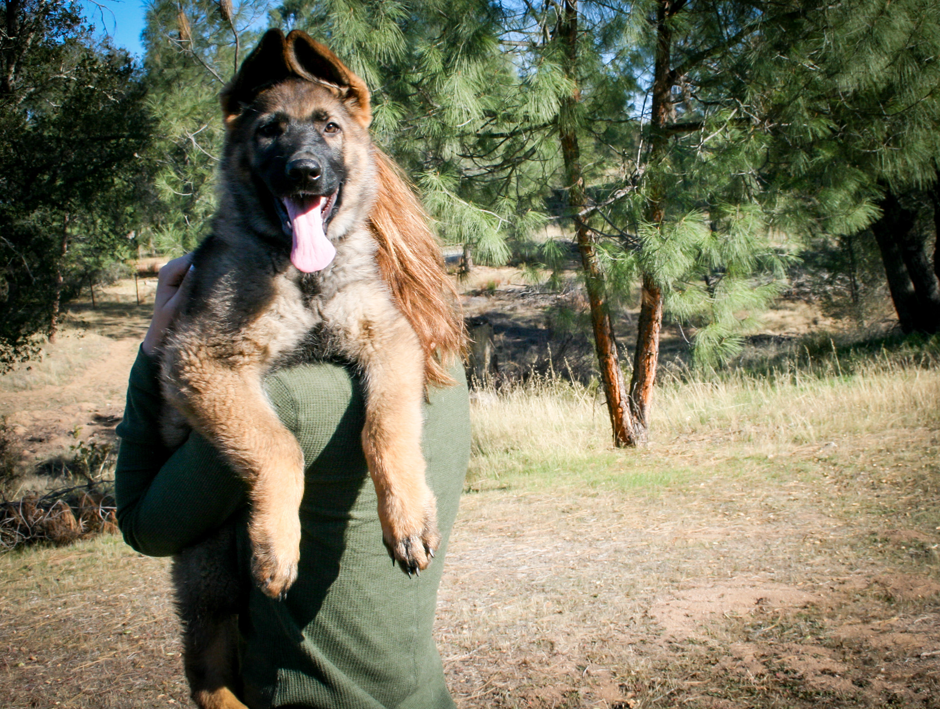 "Biggie Smalls" - 12 weeks