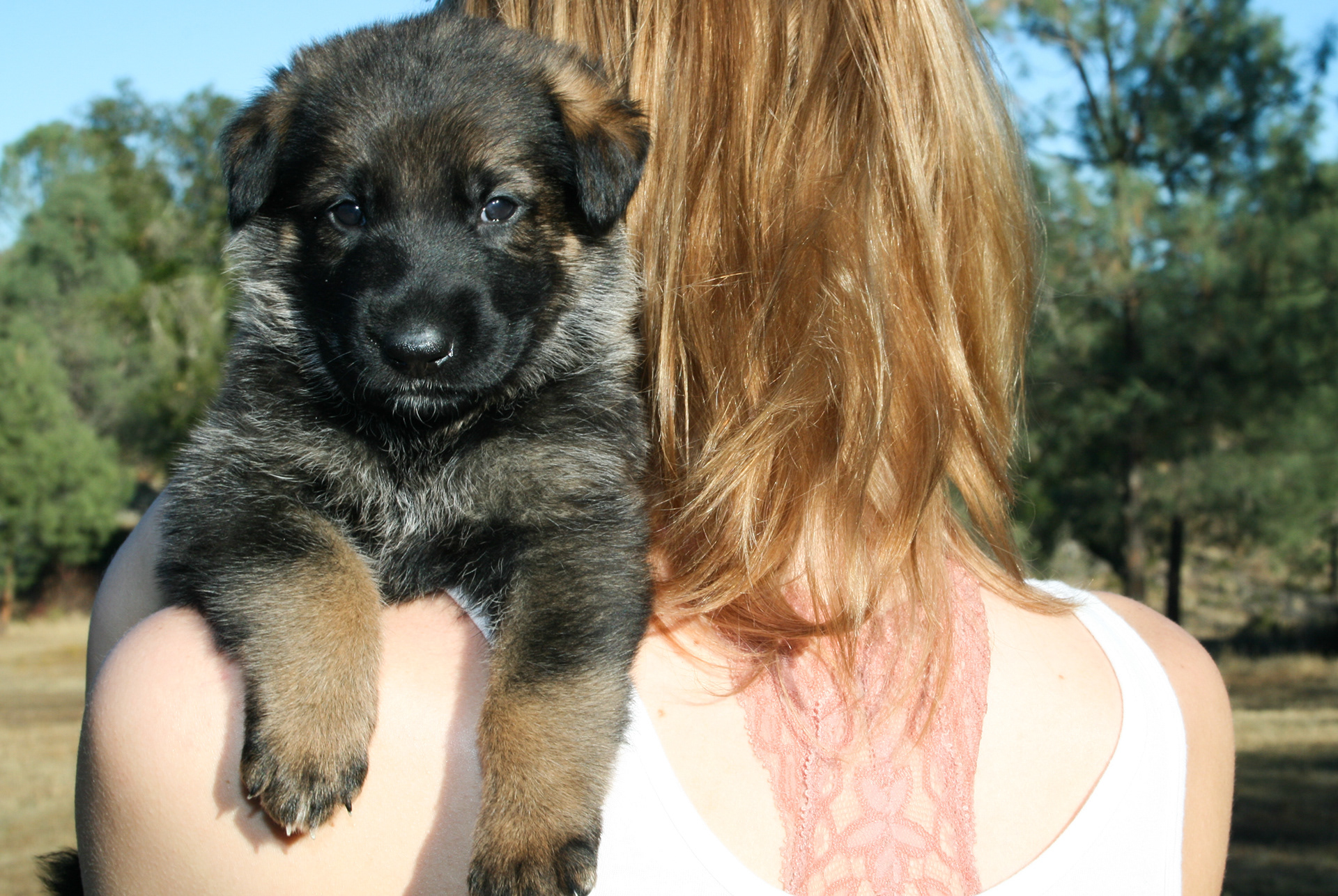 "Winnie" - 4 weeks