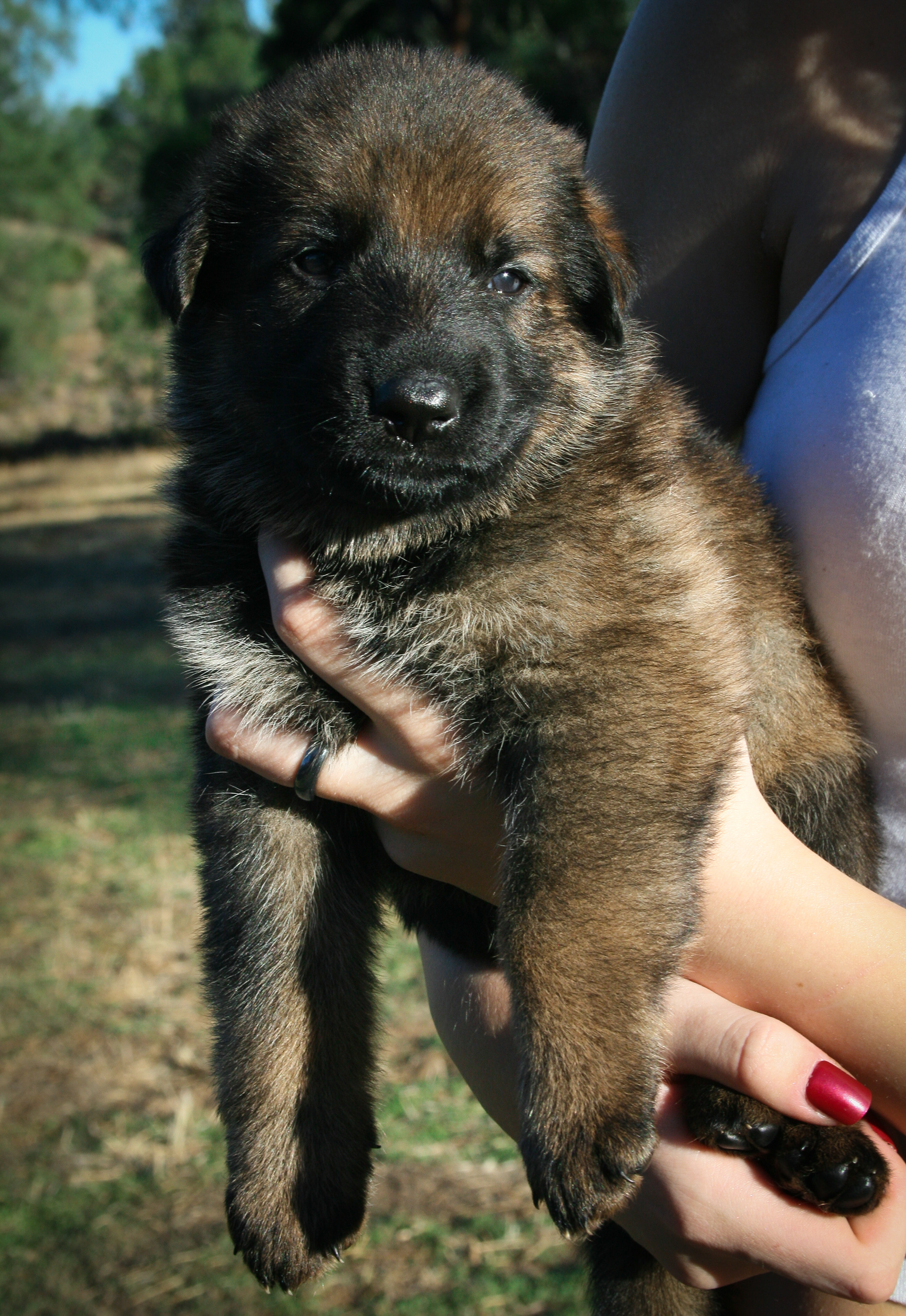 "Jack" - 4 weeks