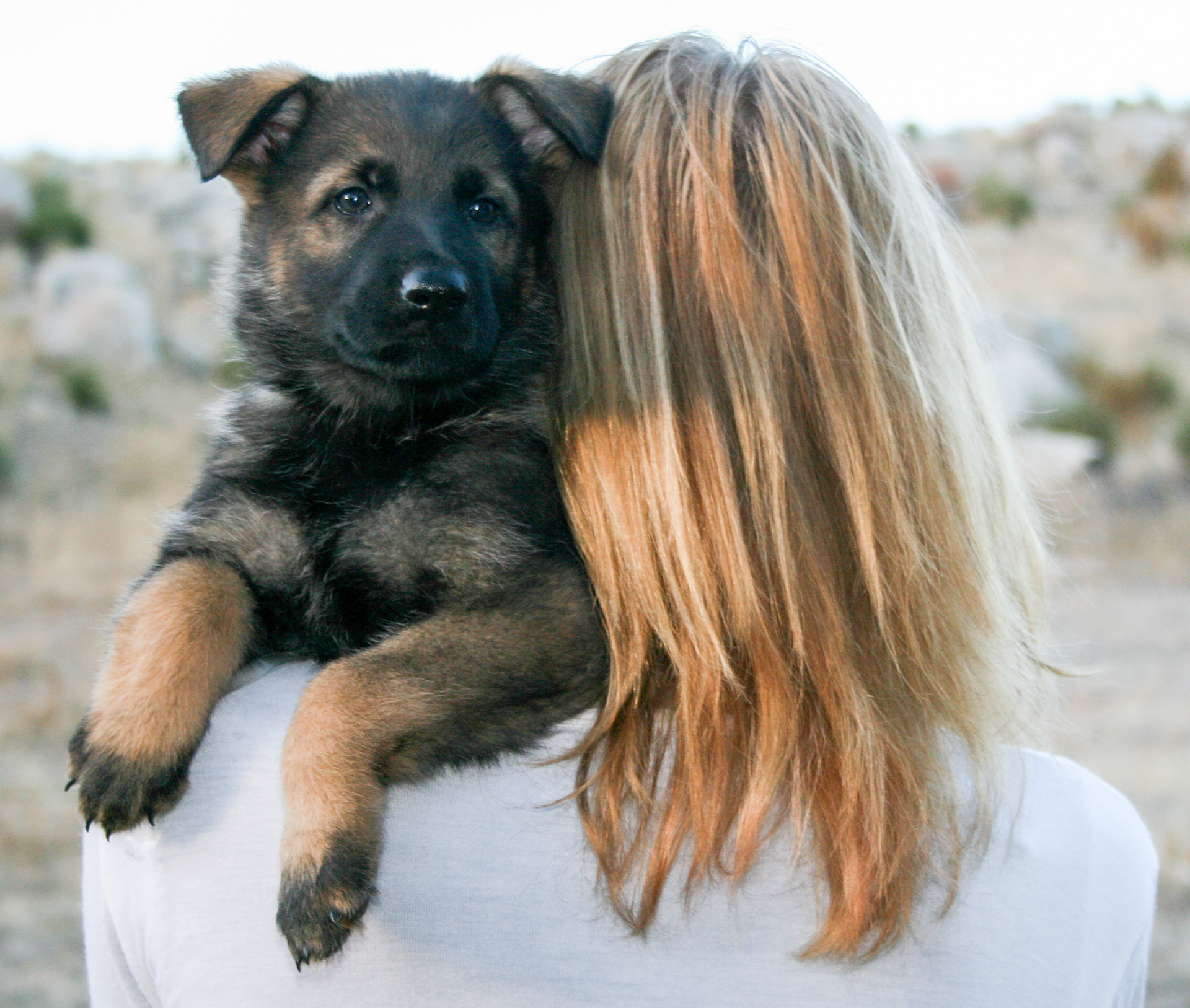 Tilly - 7 weeks