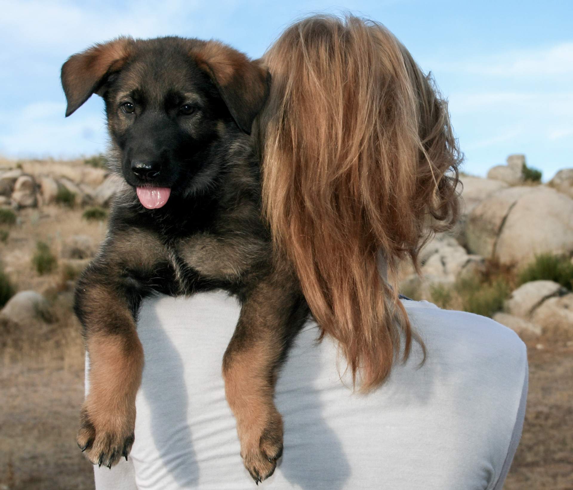Winnie - 7 weeks