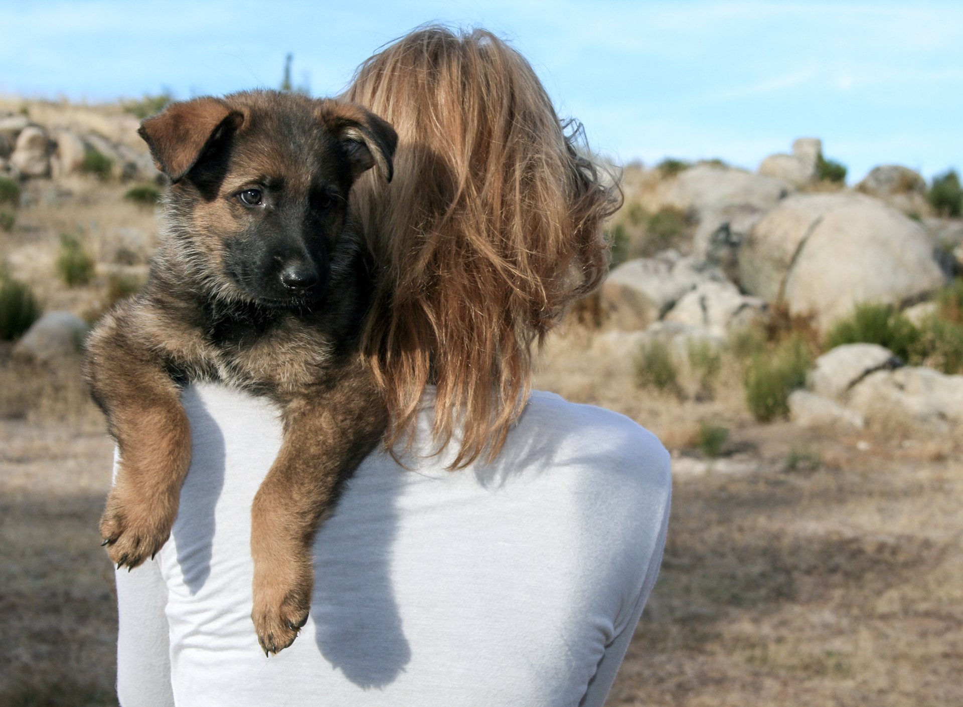 Jack - 7 weeks