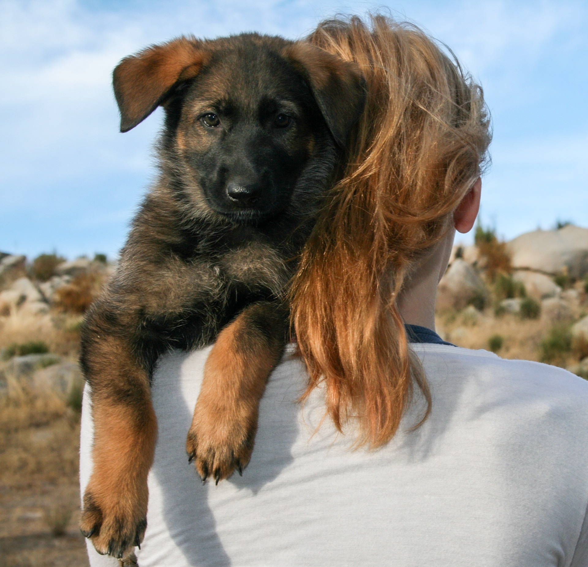 Winnie - 7 weeks