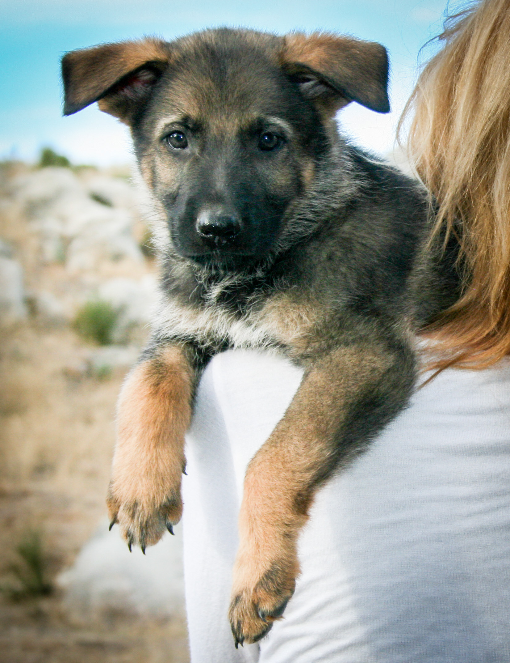Baby - 7 weeks