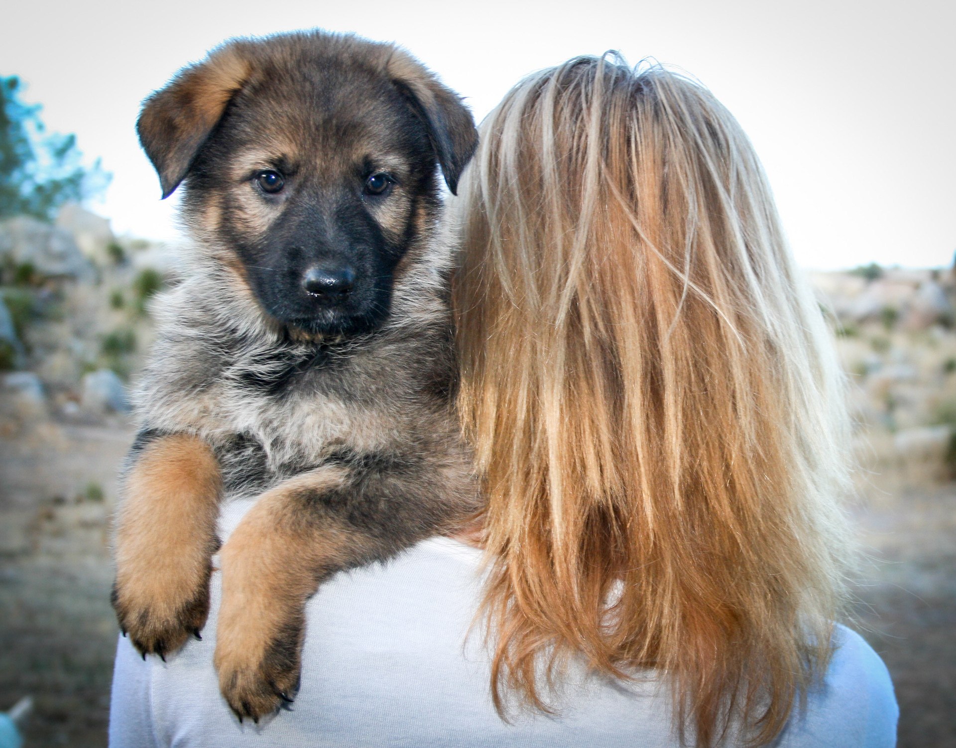 Journey - 7 weeks