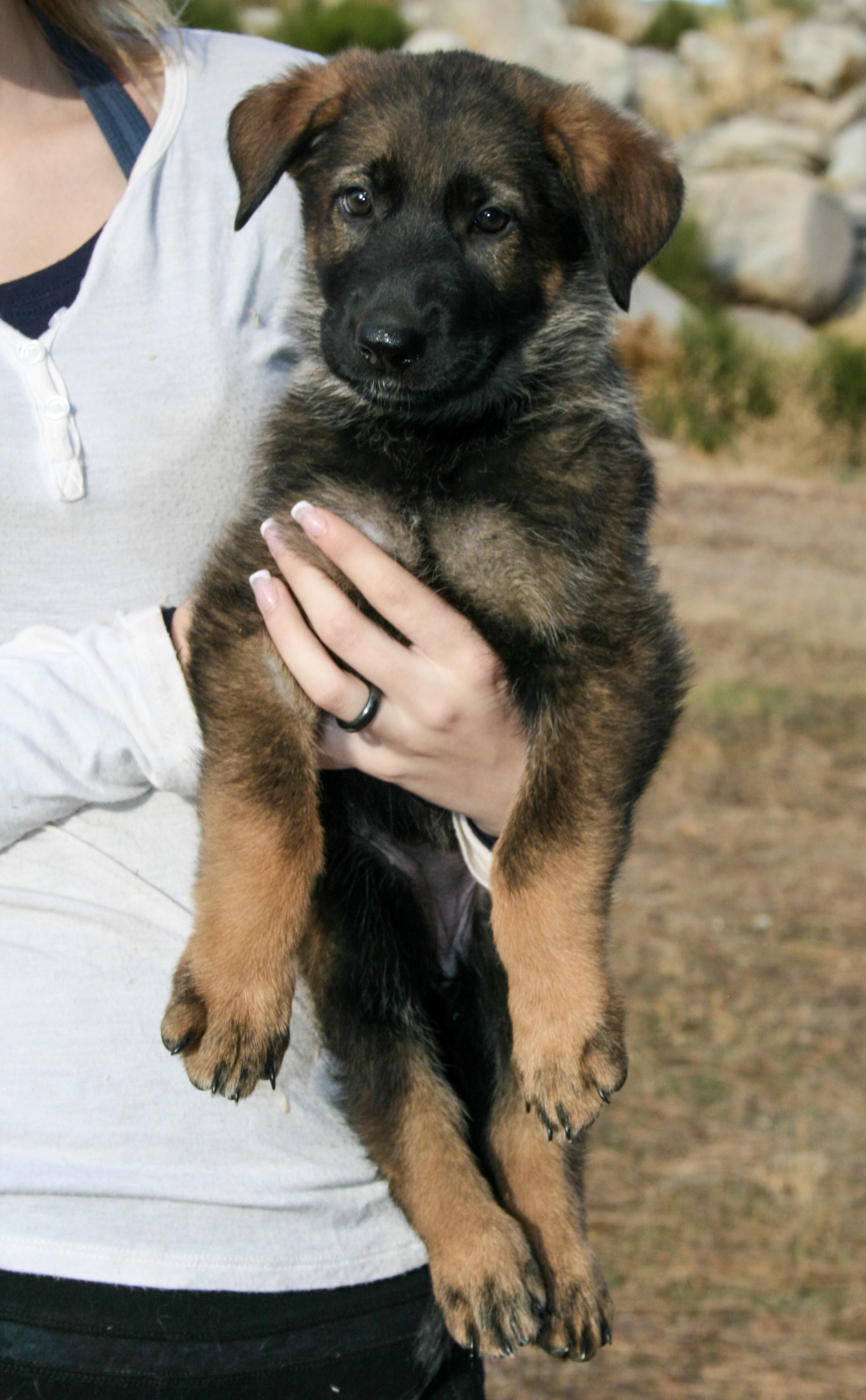 Winnie - 7 weeks
