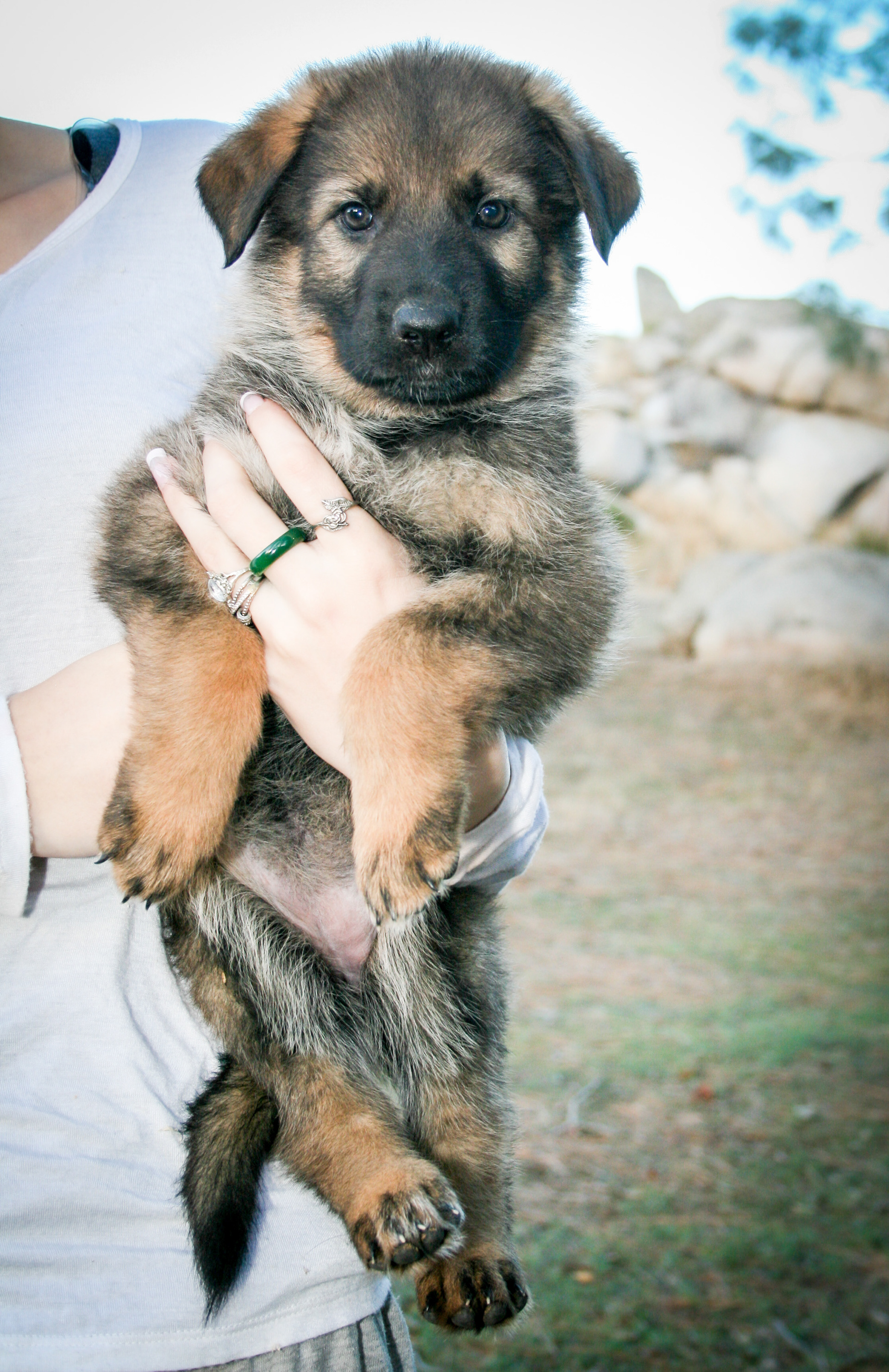 Journey - 7 weeks