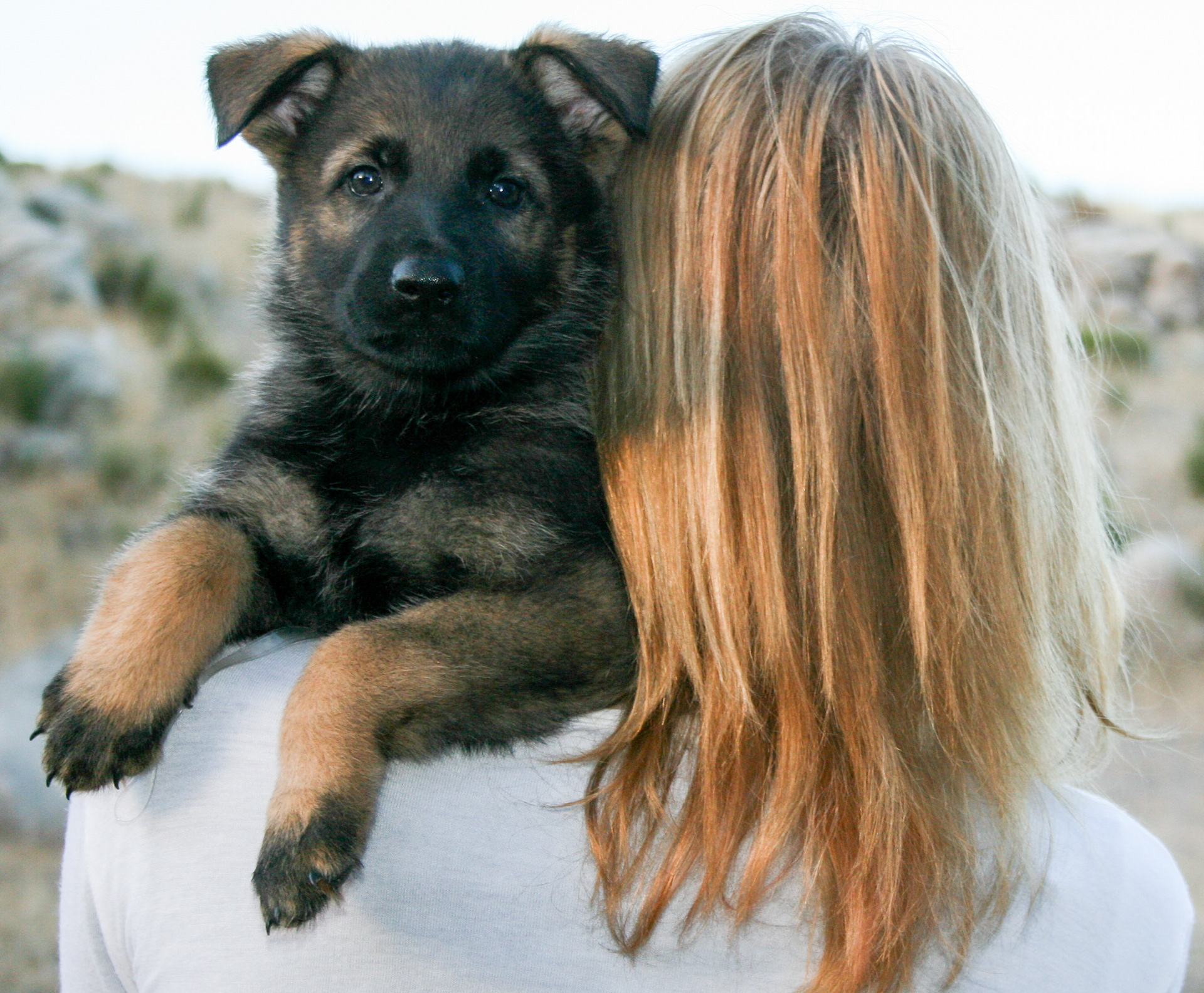 Tilly - 7 weeks