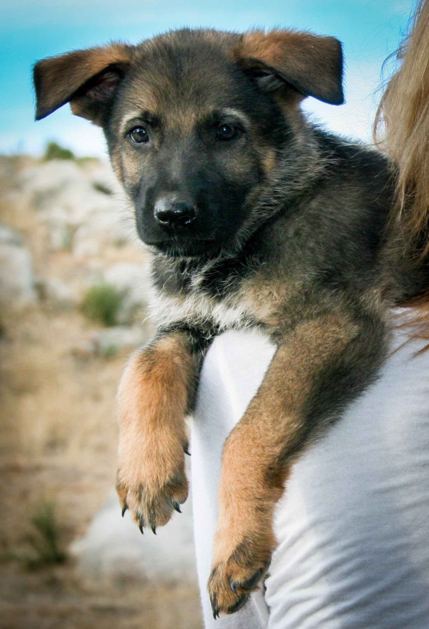 Baby - 7 weeks