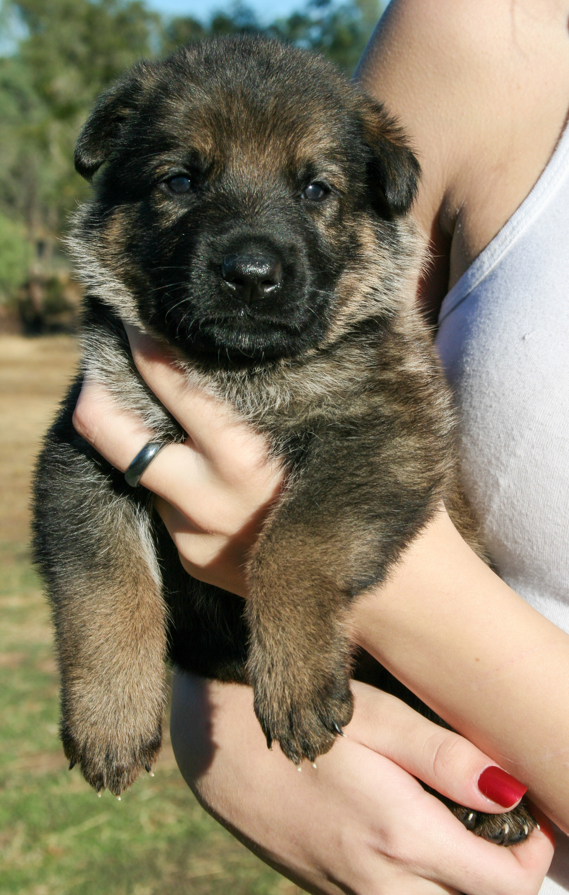 "Baby" - 4 weeks