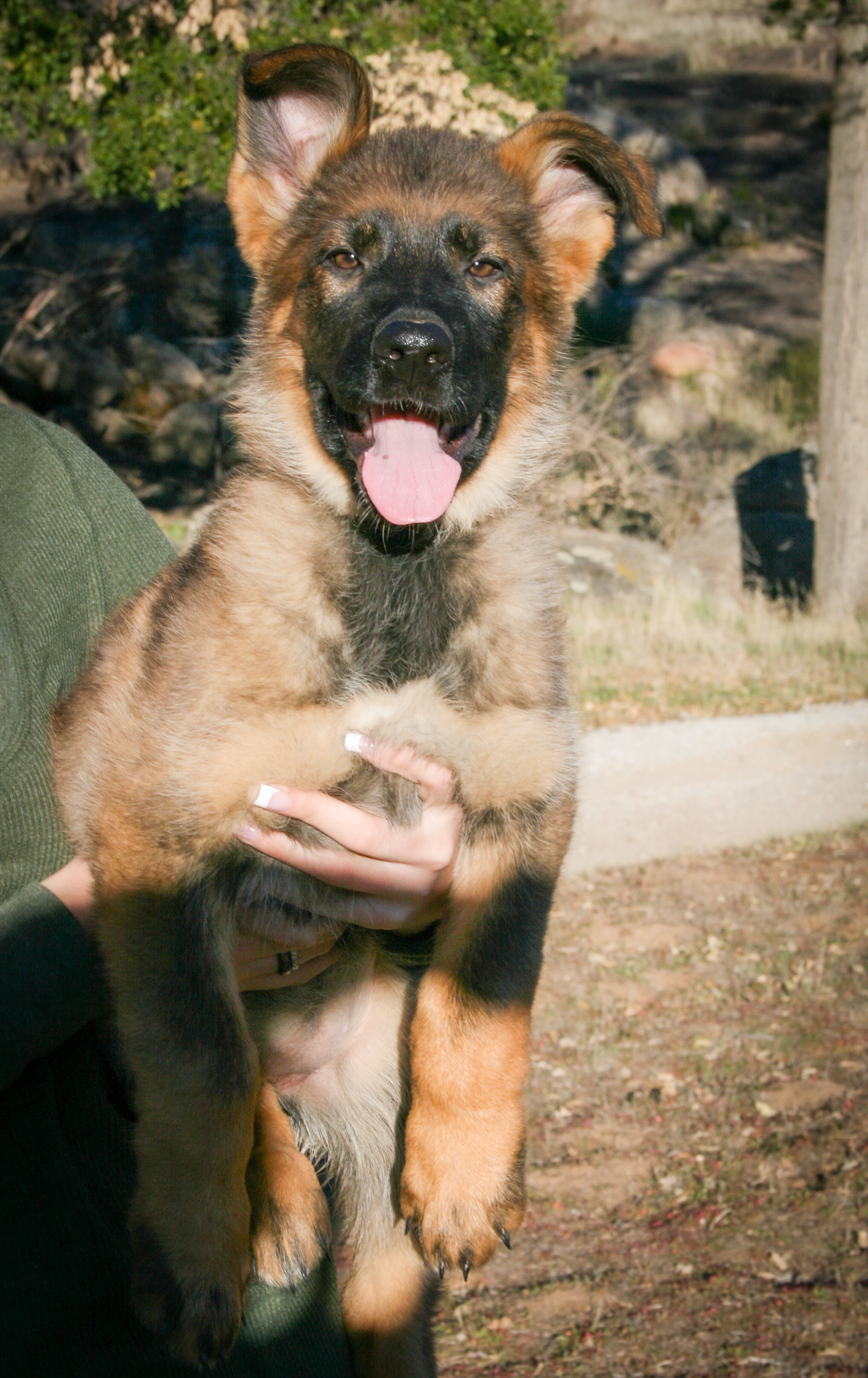 "Journey" - 12 weeks