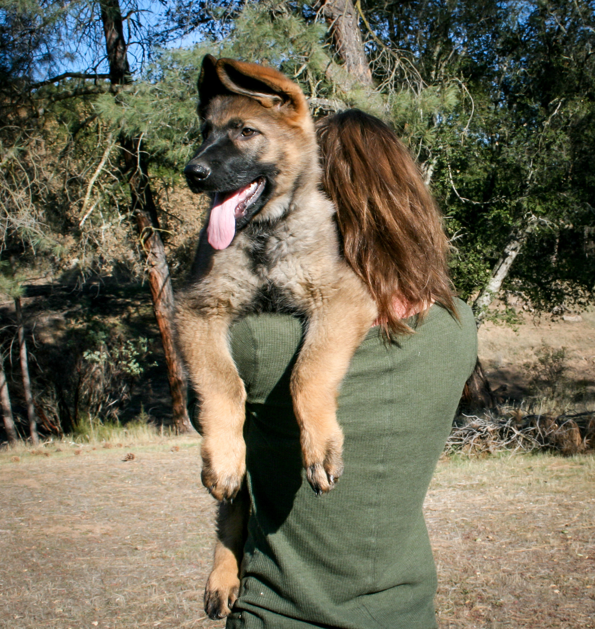 "Biggie Smalls" - 12 weeks