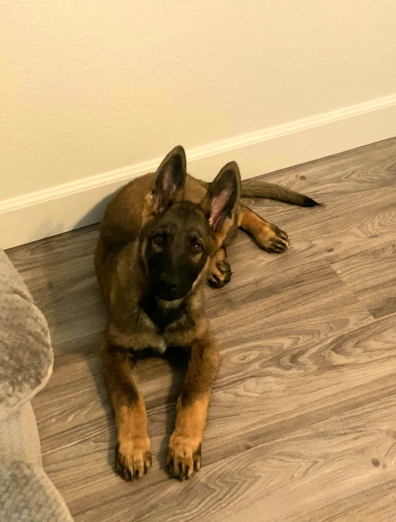15 weeks - "Red"