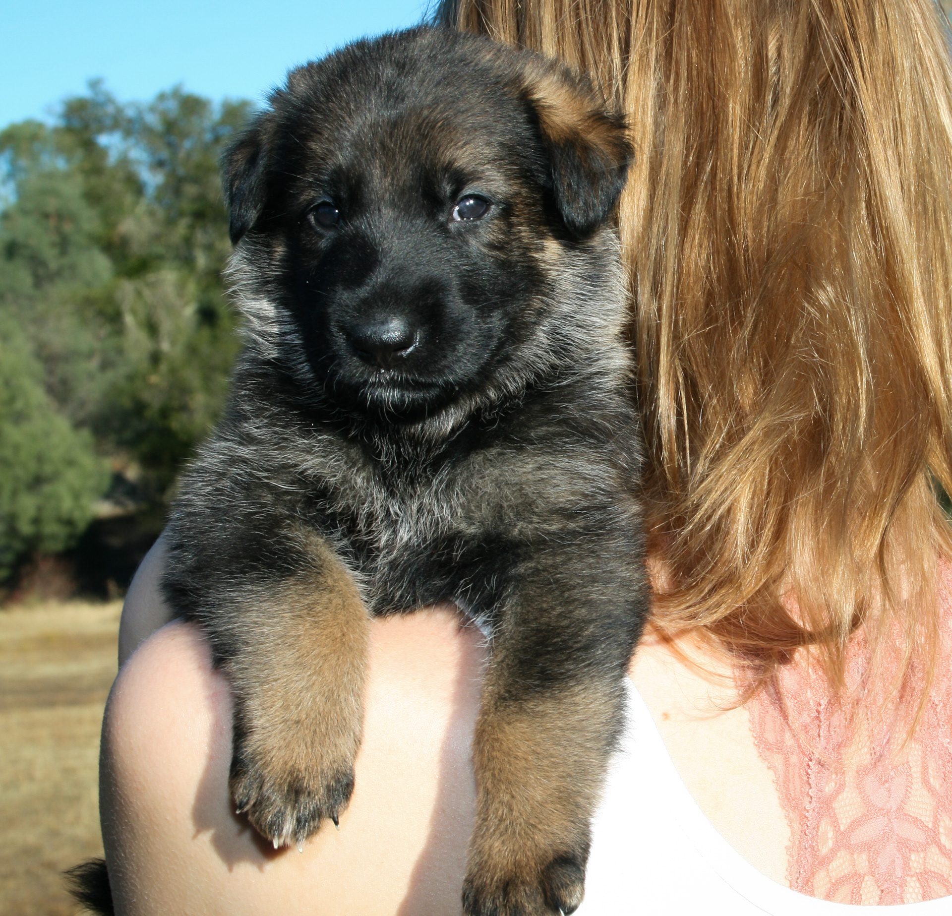 "Winnie" - 4 weeks