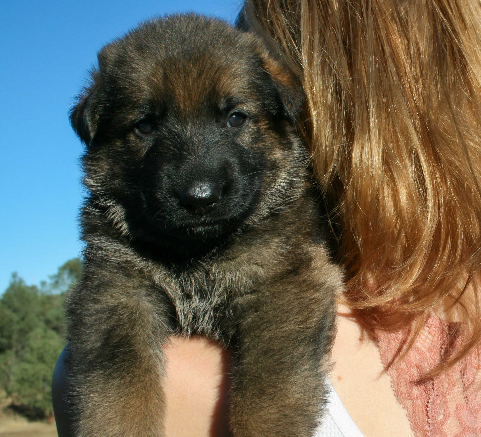 "Jack" - 4 weeks