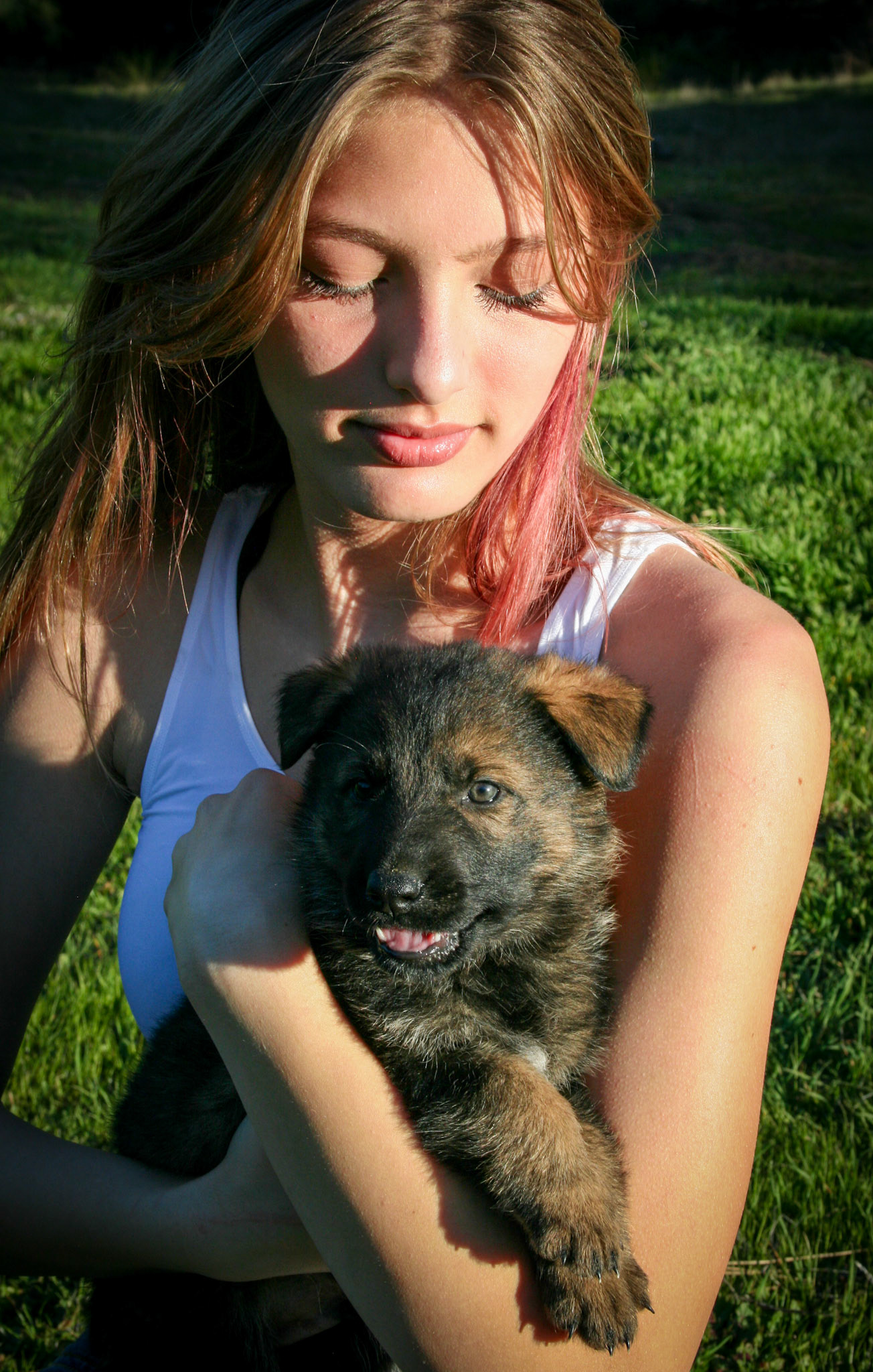 Red Collar Male 5 Weeks Old