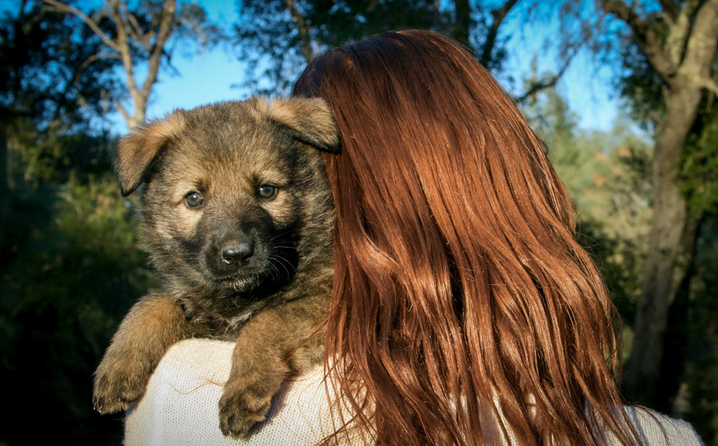 Nala 4 weeks old