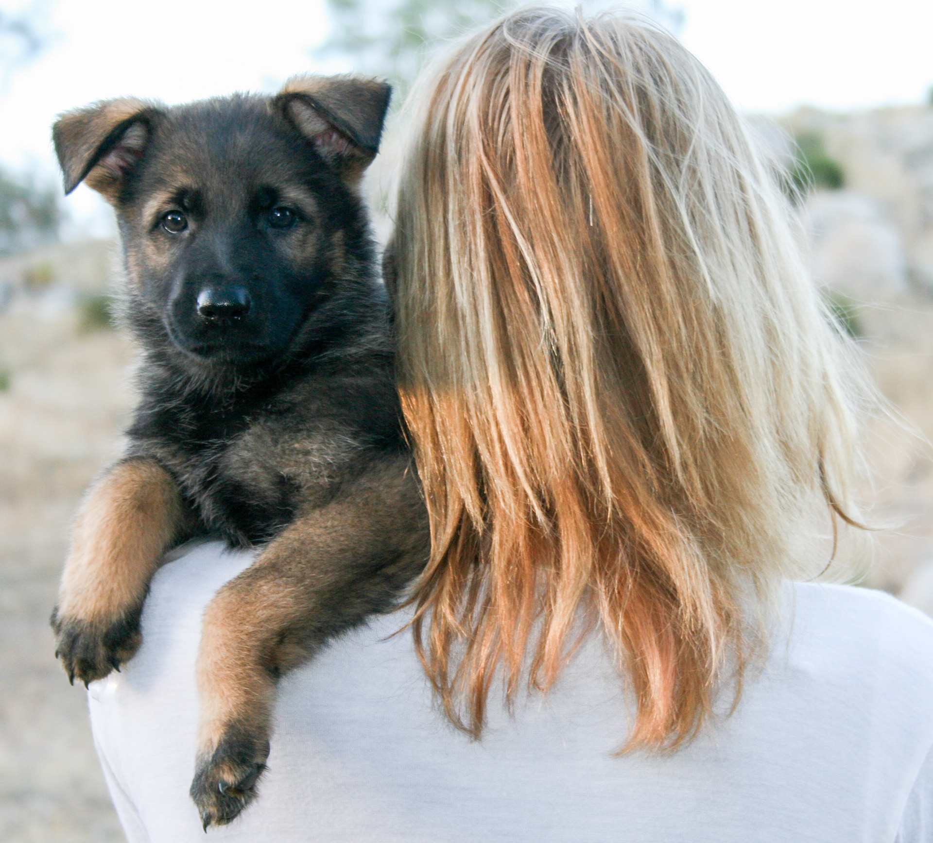 Tilly - 7 weeks