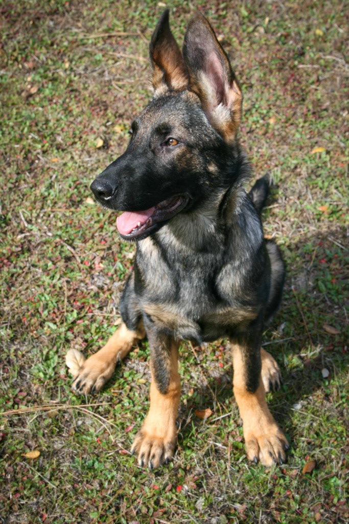 Winnie 4.5 months