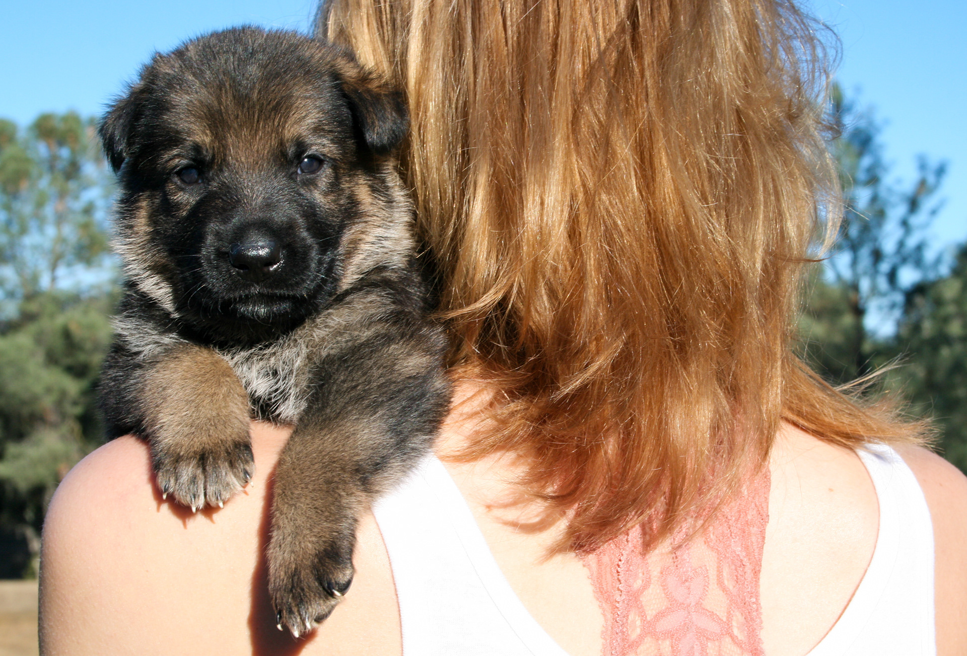 "Baby" - 4 weeks