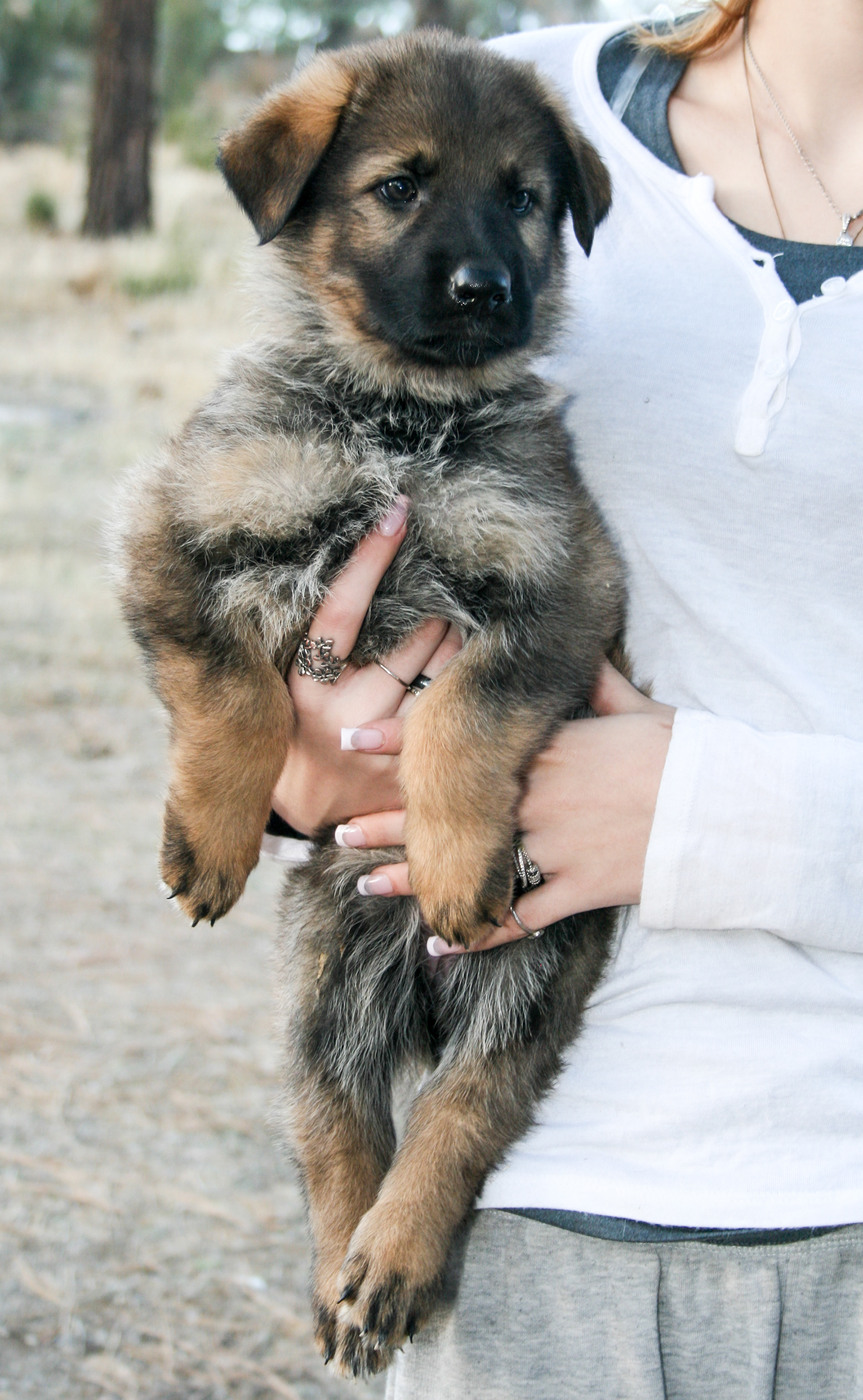 Journey - 7 weeks