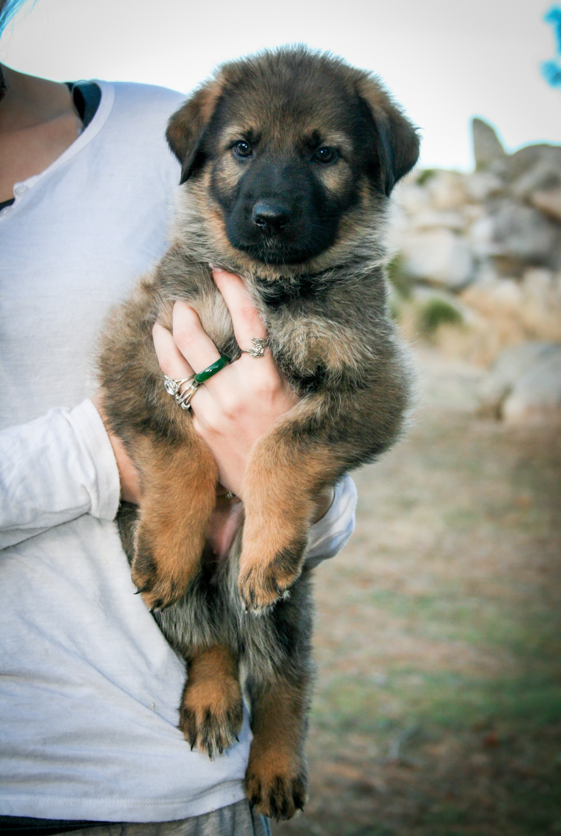 Journey - 7 weeks