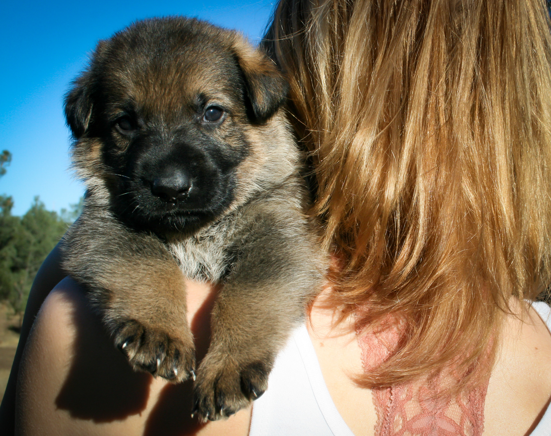 "Vinnie" - 4 weeks