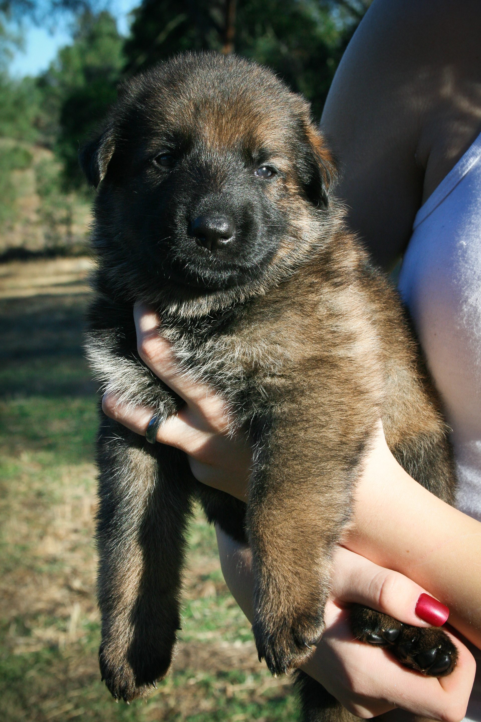 "Jack" - 4 weeks