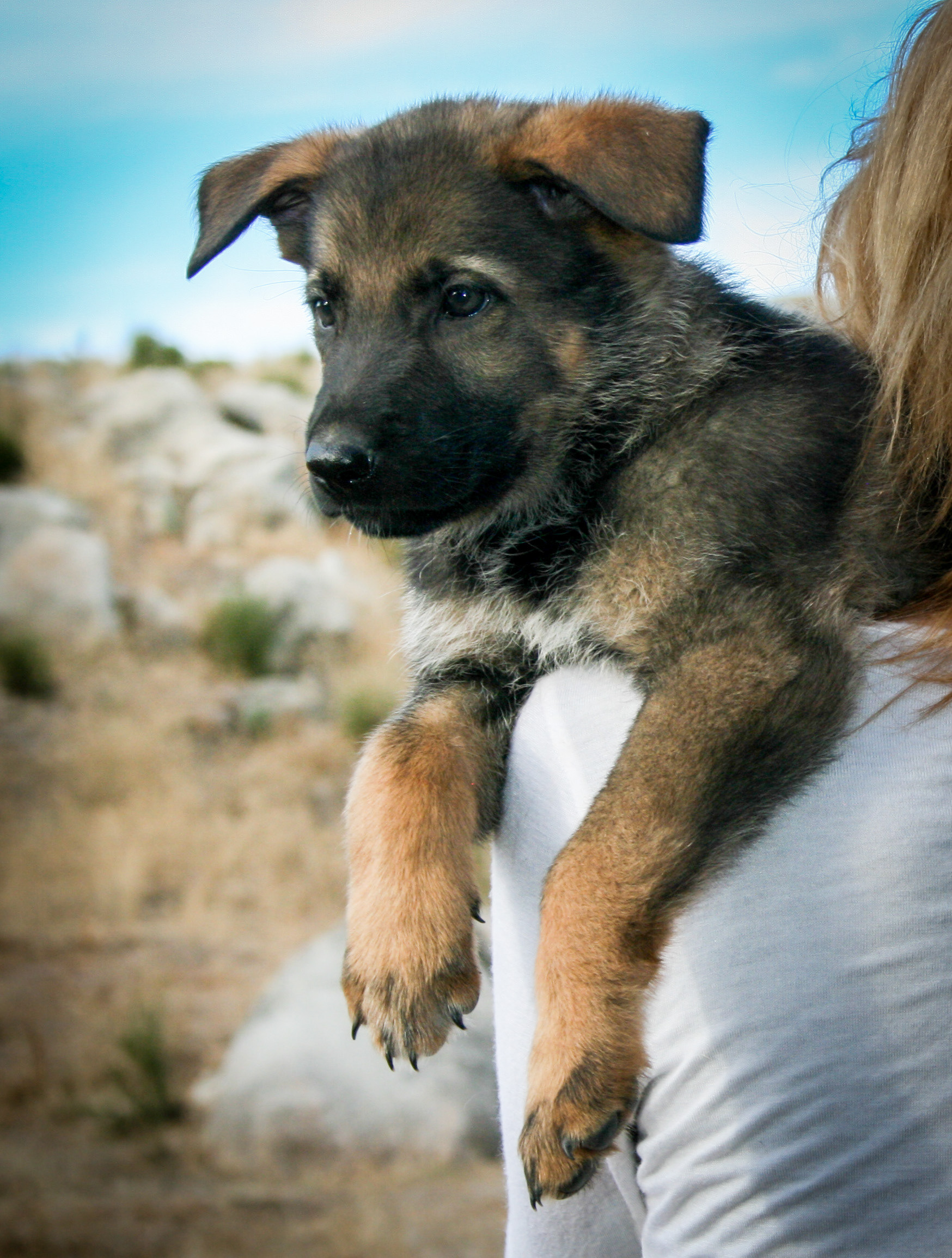 Baby - 7 weeks