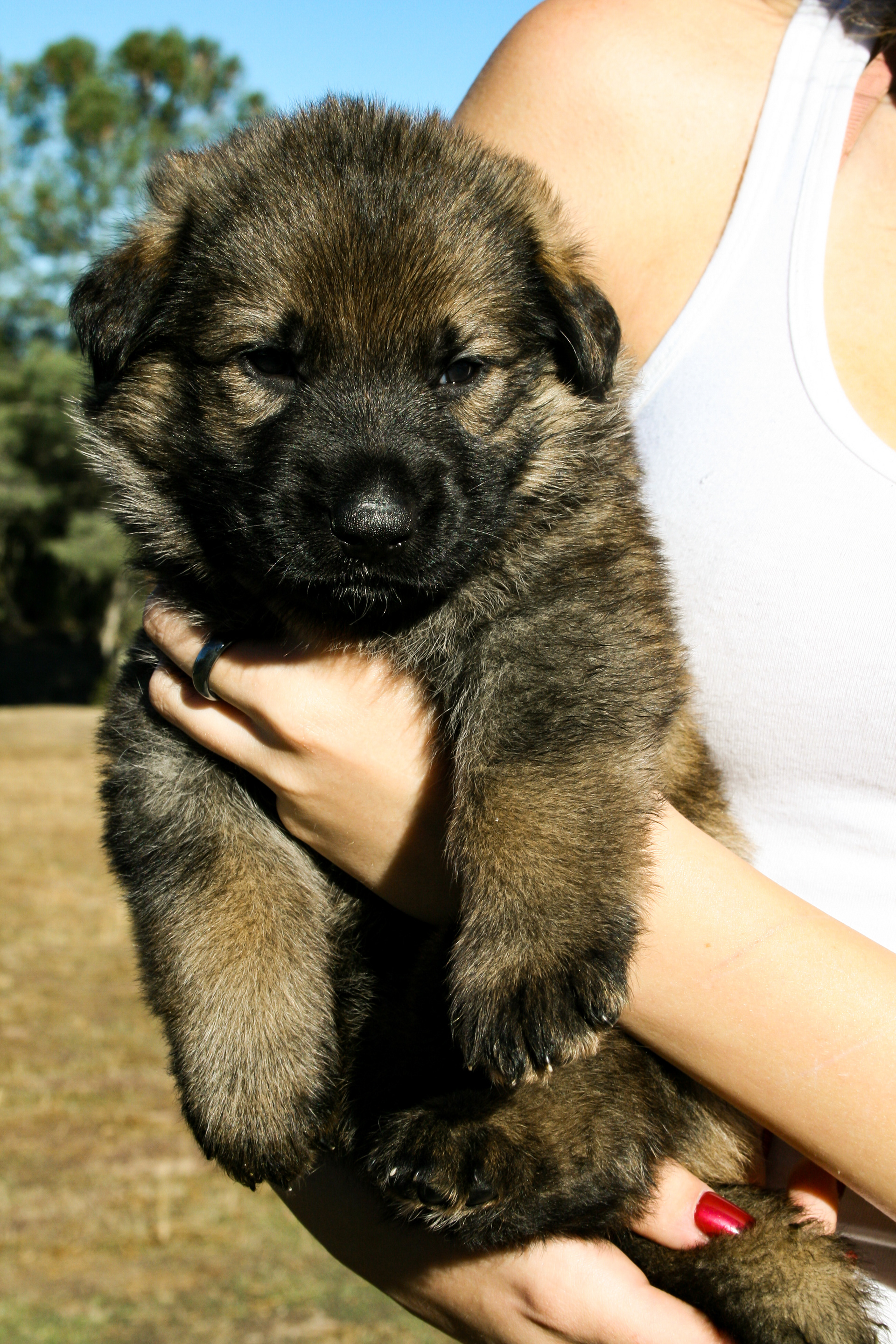 "Biggie Smalls" - 4 weeks
