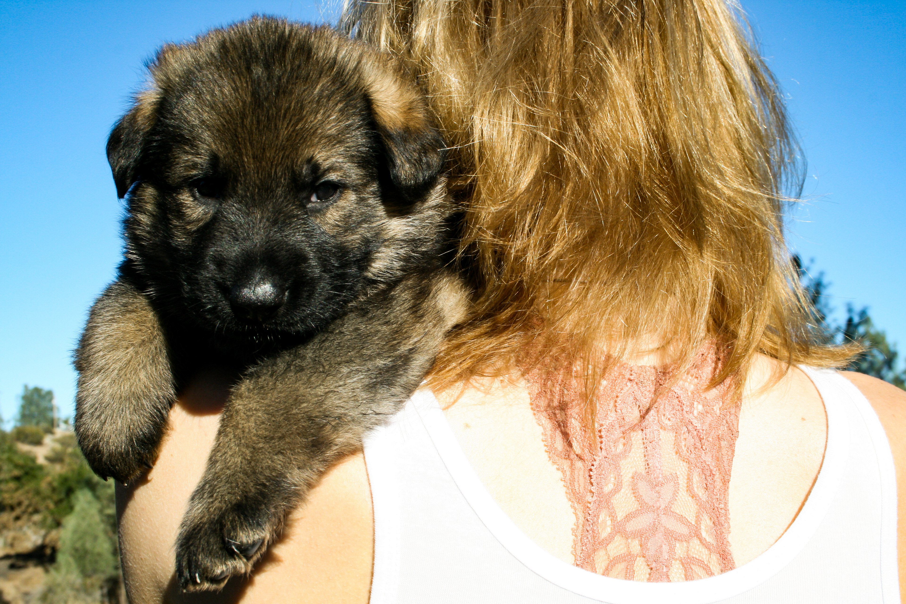 "Biggie Smalls" - 4 weeks