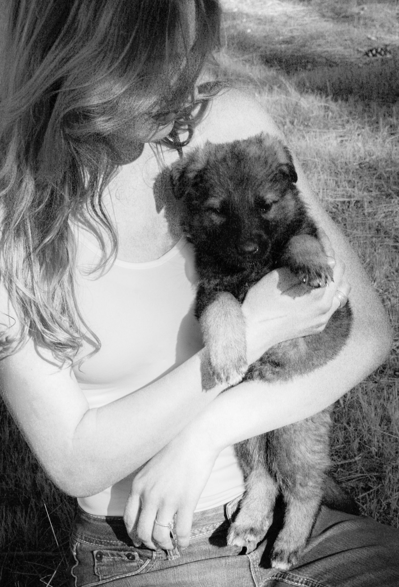 Lilac Collar Female 5 weeks Old