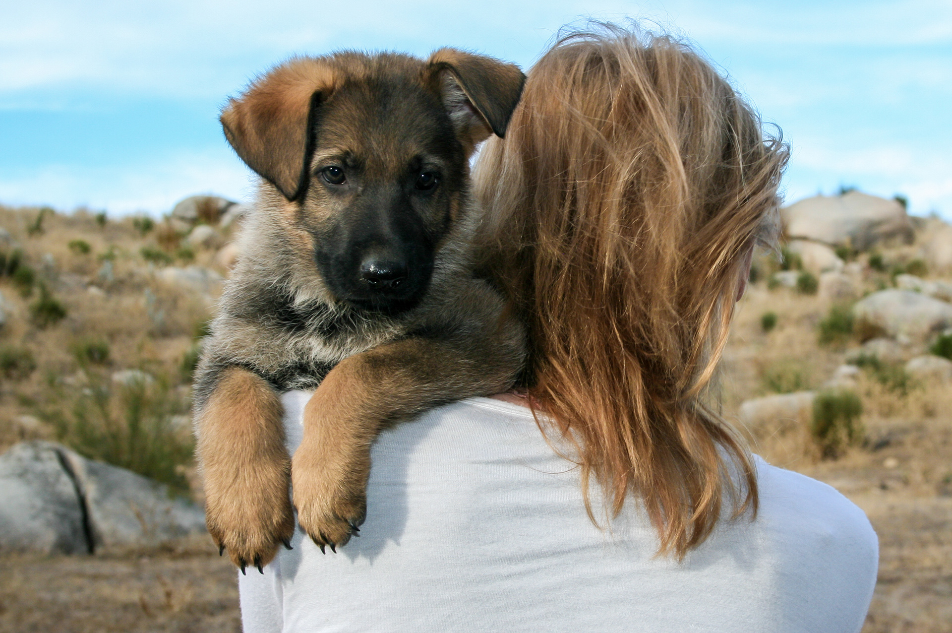 Vinnie - 7 weeks