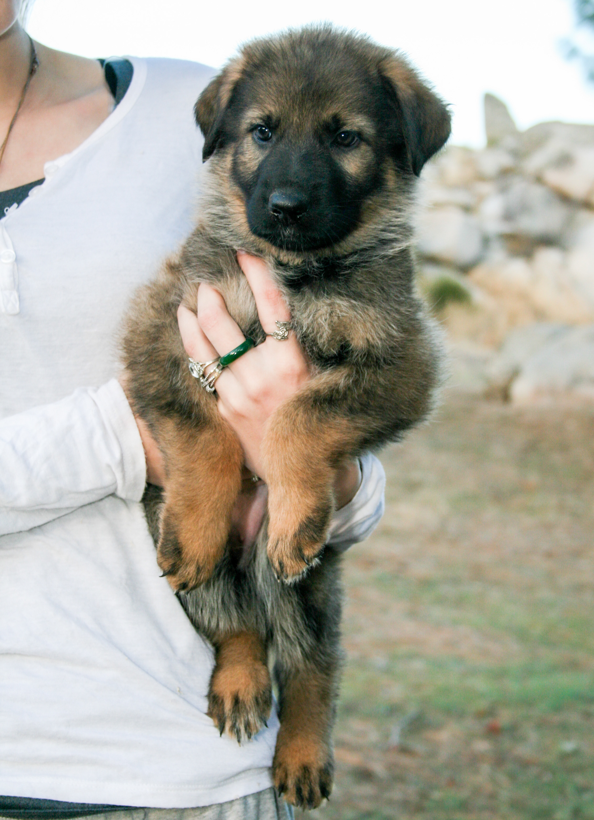Journey - 7 weeks