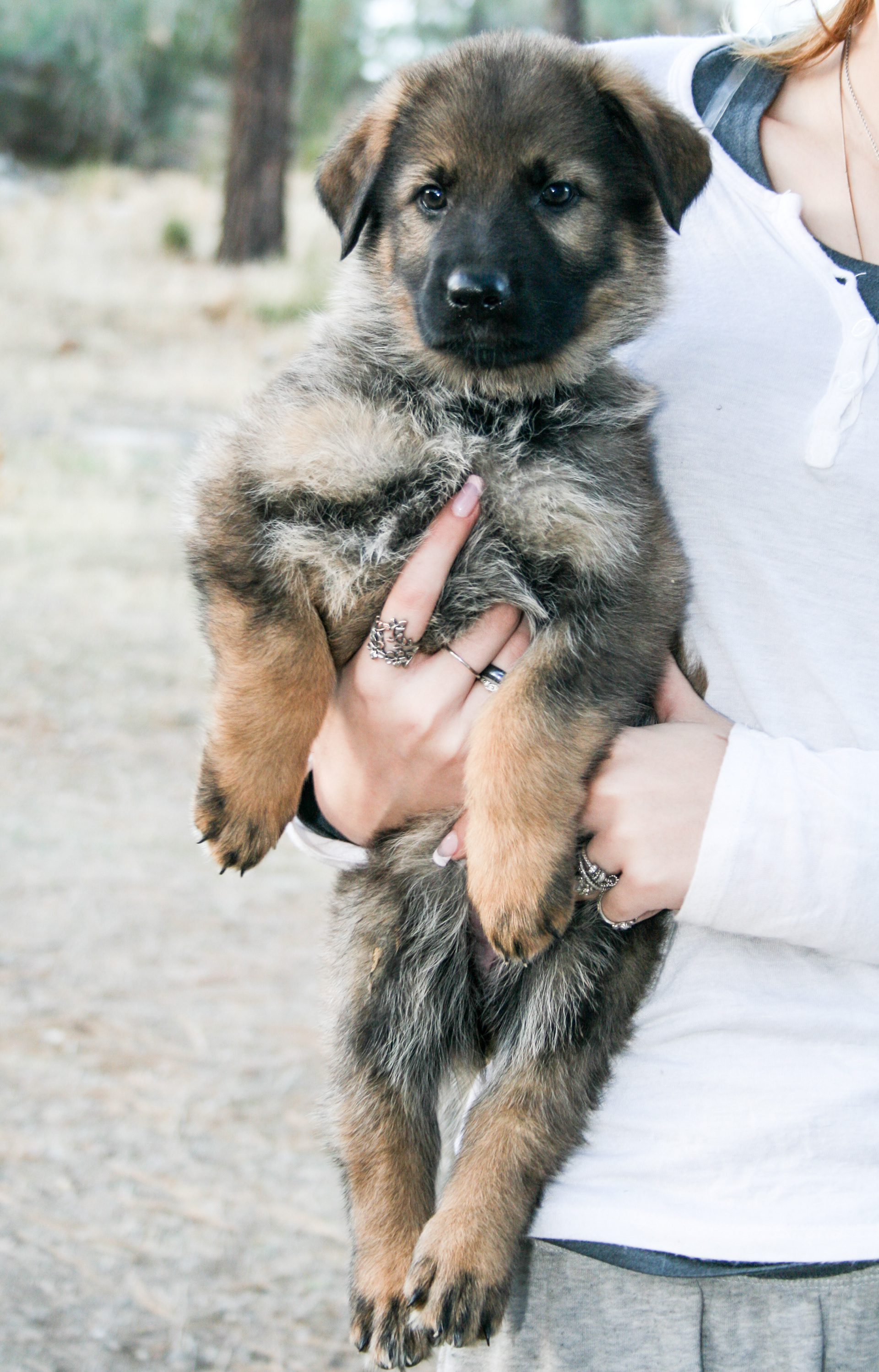 Journey - 7 weeks