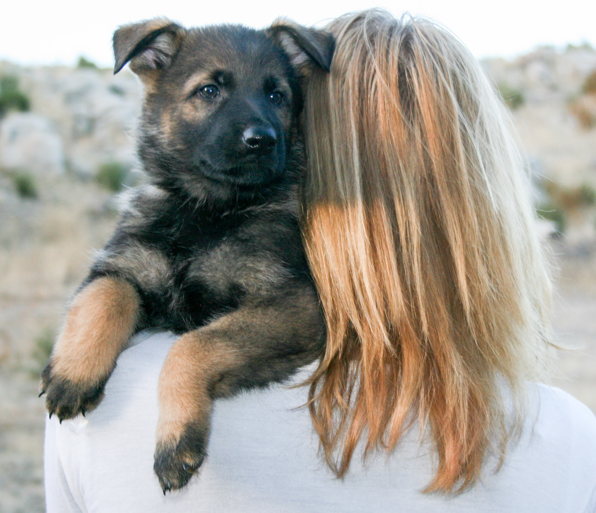 Tilly - 7 weeks