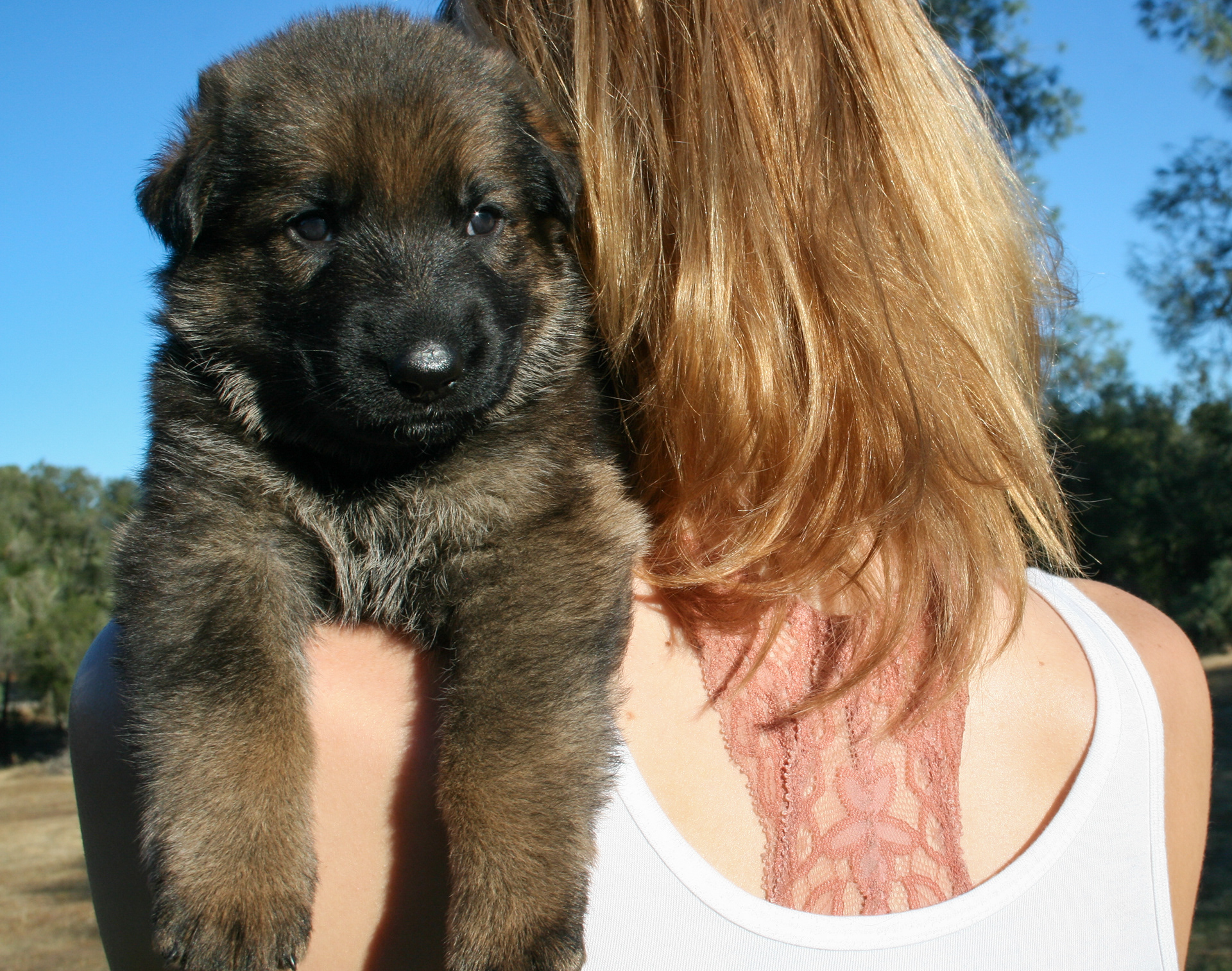 "Jack" - 4 weeks