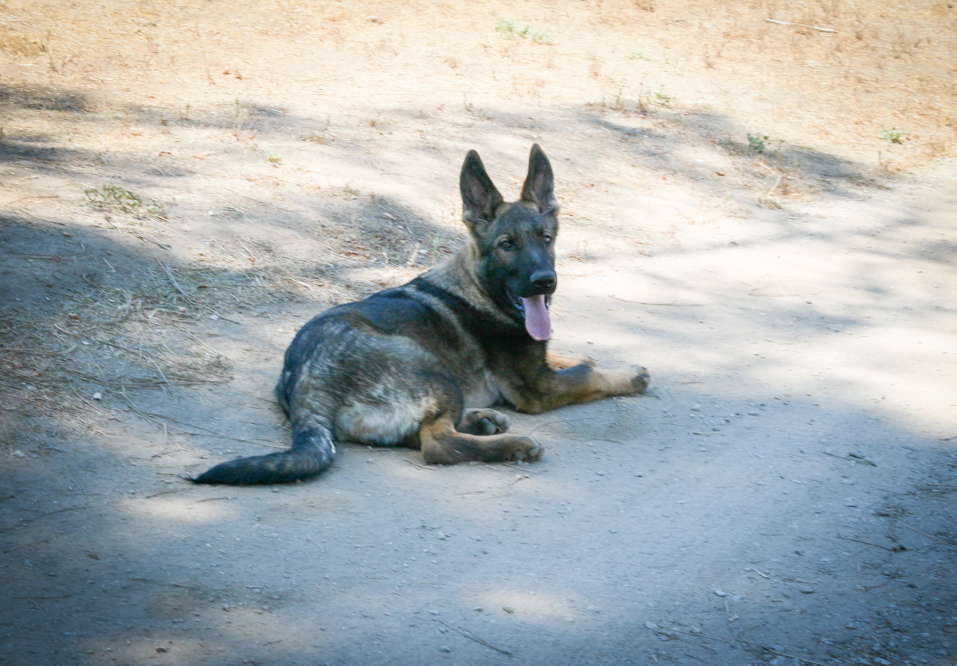 Hugh - Male - 18 Weeks